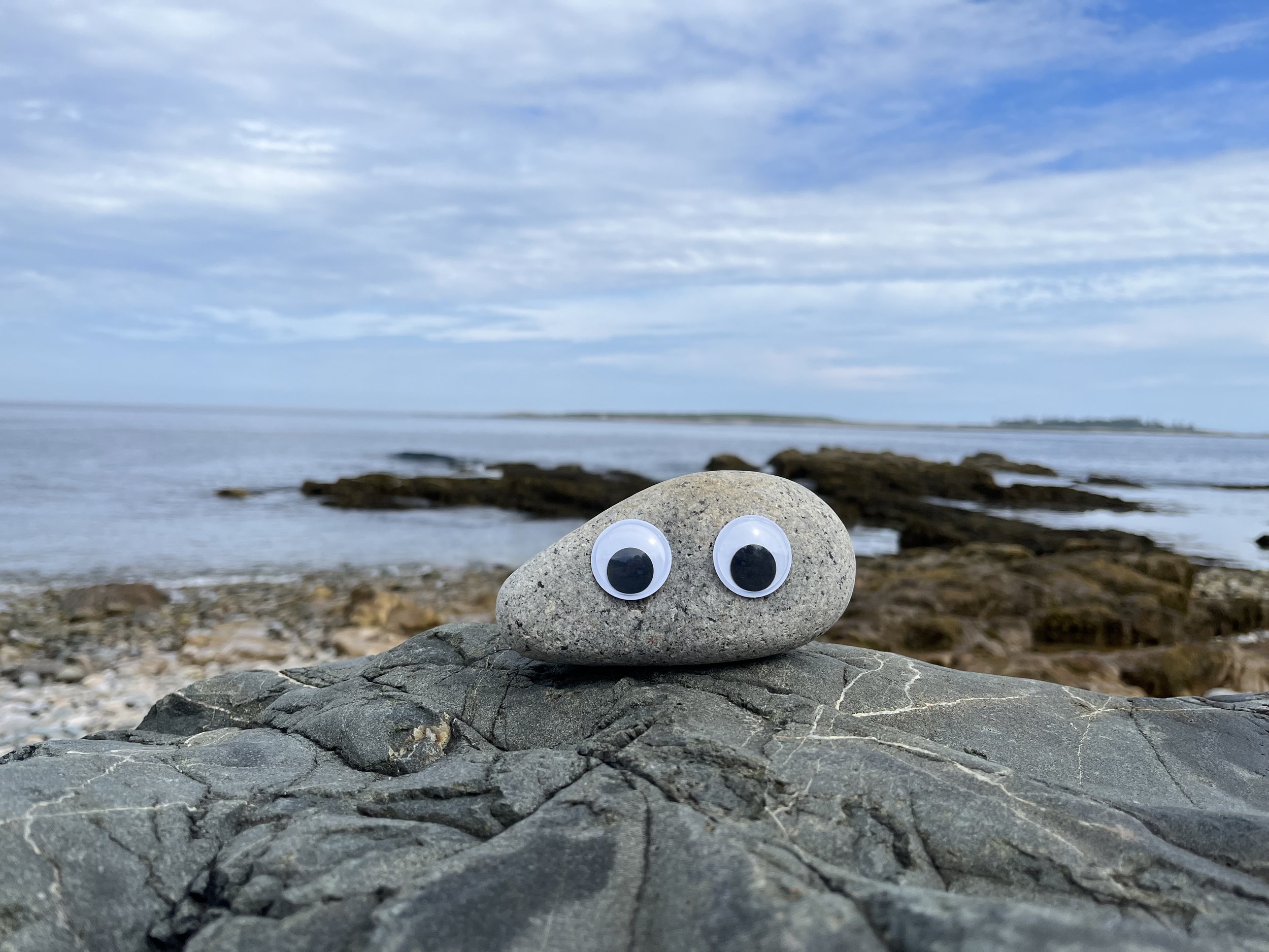 I found a rock!