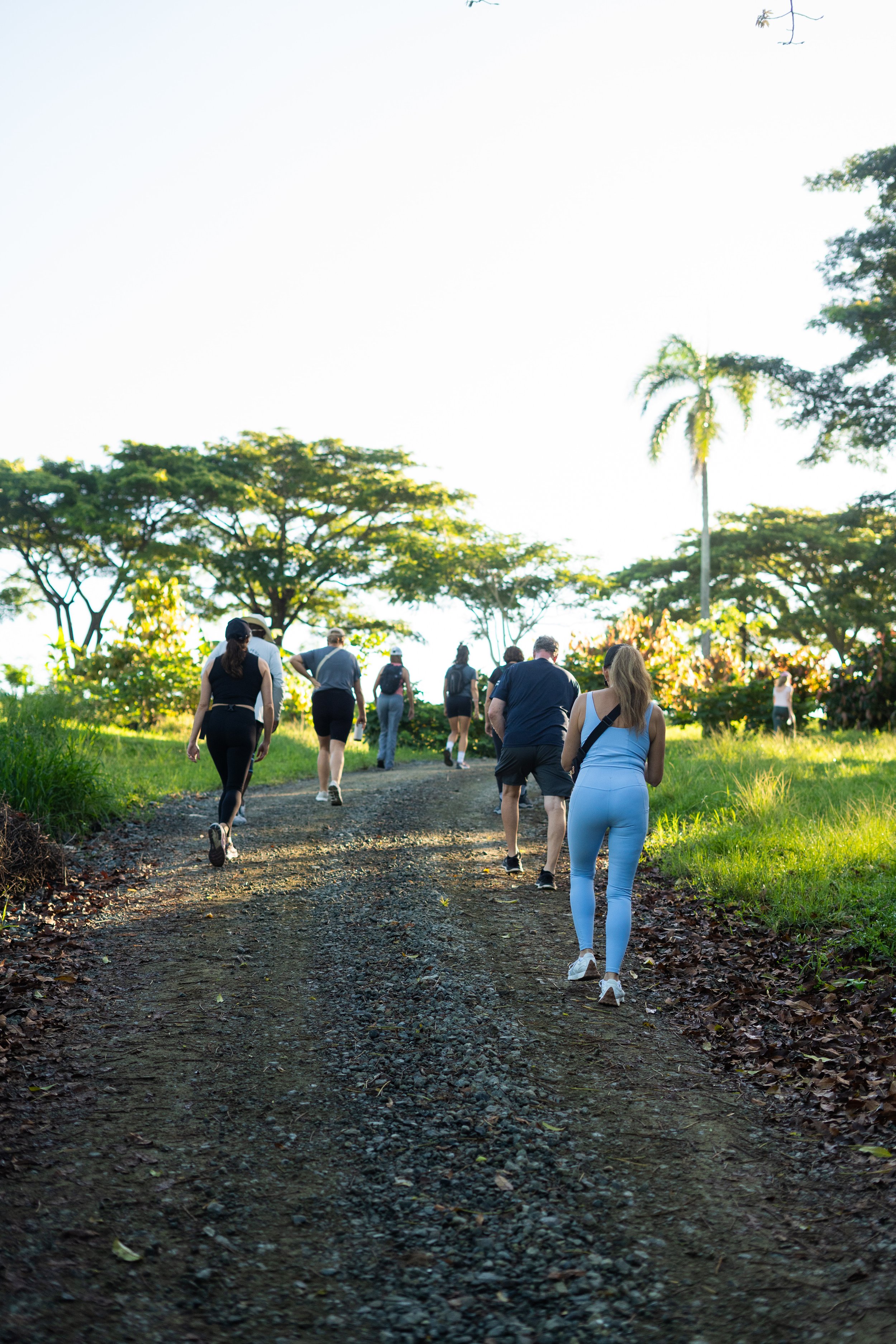 Group of people hiking on a dirt trail through a lush, green park with trees and palm trees in the background.