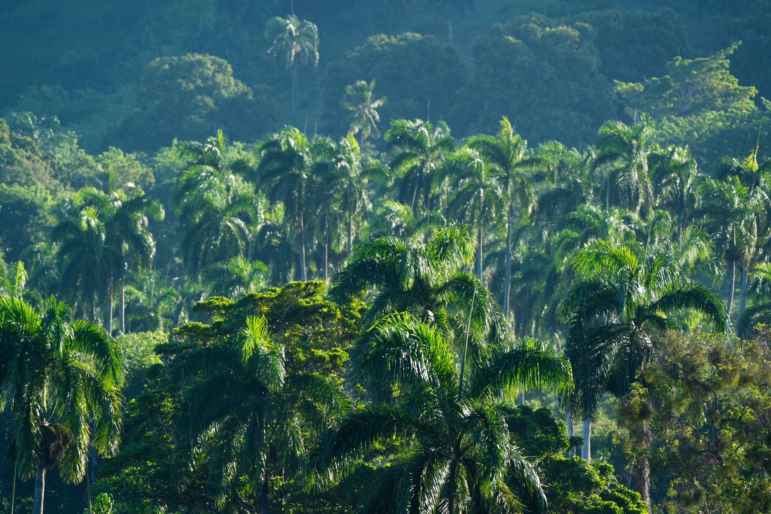 Root to Rise-184.jpg