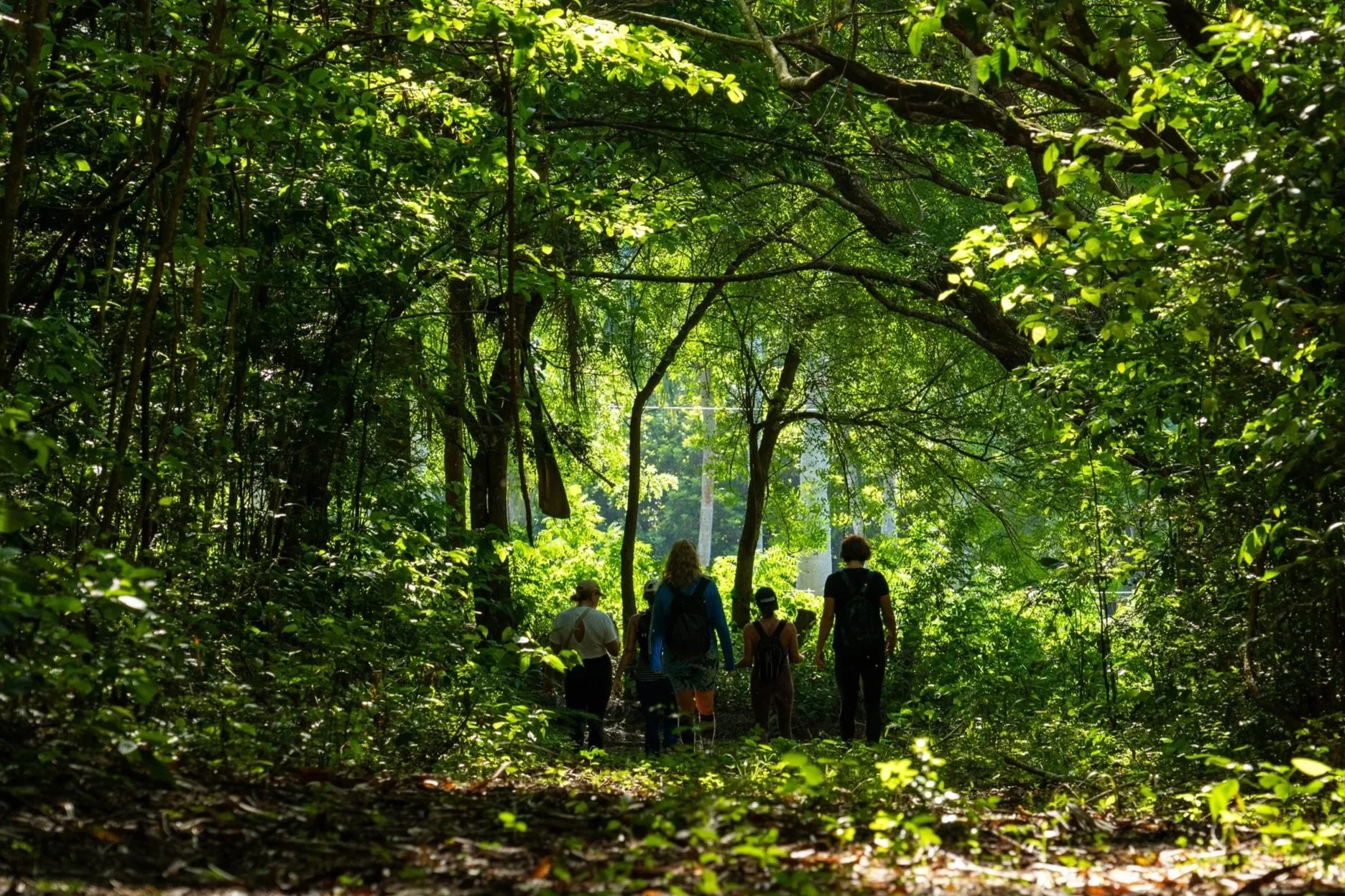 ROOT TO RISE: A KYN Retreat in Dominican Republic