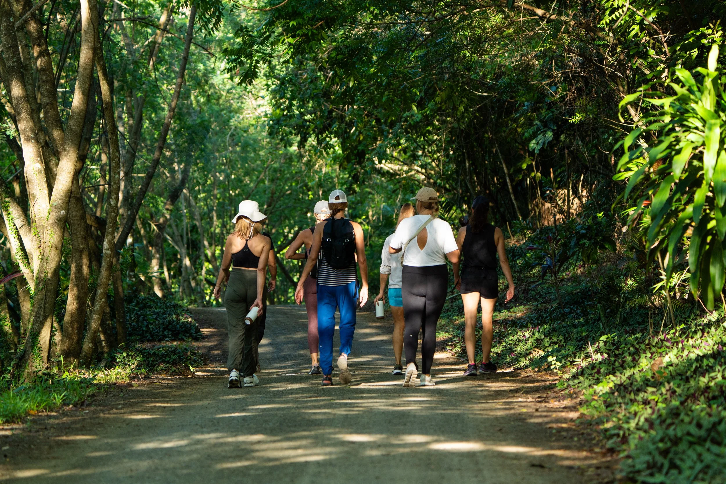 Group of people hiking on a forest trail surrounded by lush green trees.