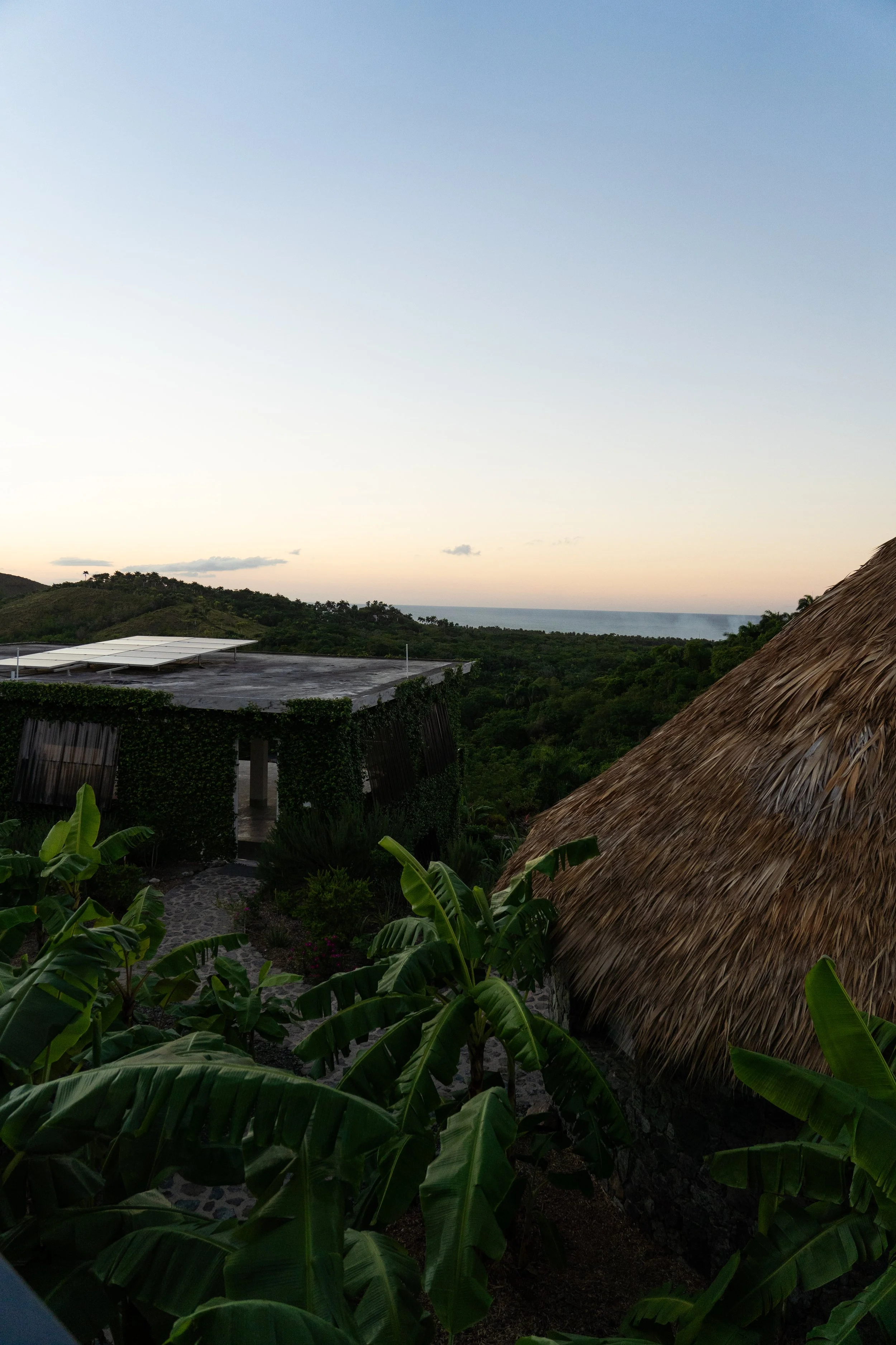 A tropical landscape at sunset featuring lush green foliage, a thatched roof structure, and a distant ocean view.