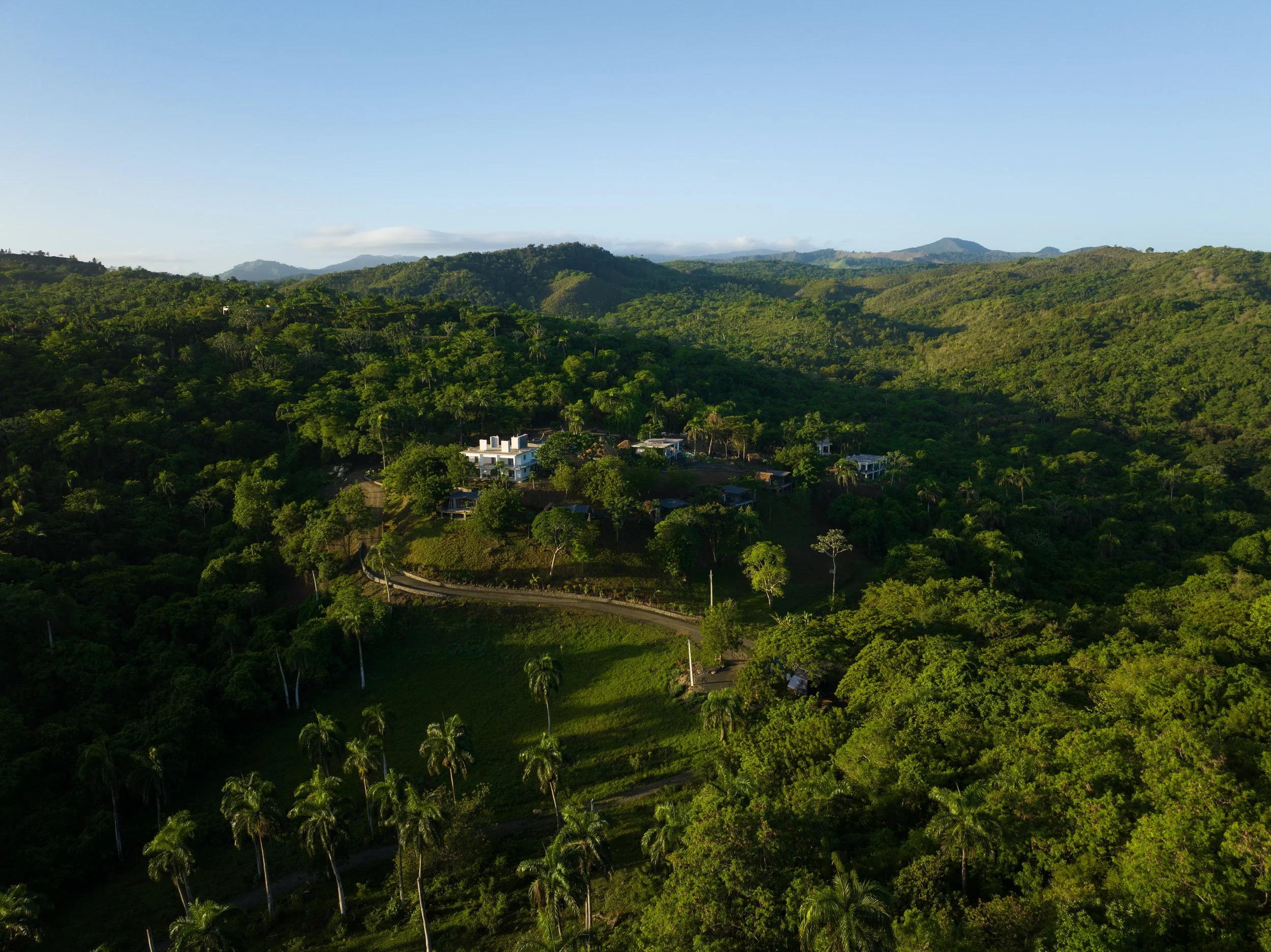 Aerial view of a lush, green mountainous landscape with scattered houses and palm trees, under a clear blue sky.