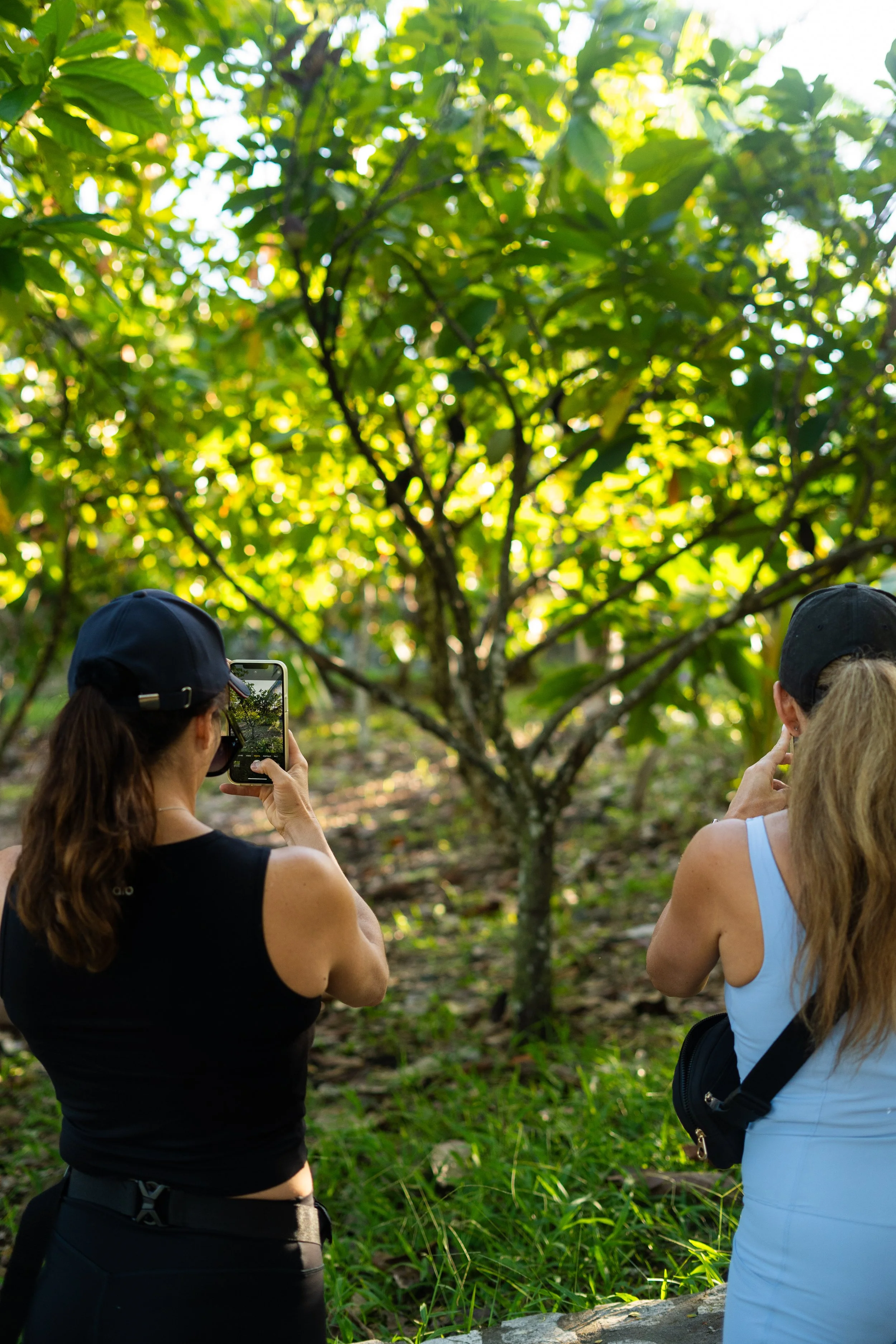 Two women in sleeveless tops and caps are taking photos of a lush green tree in a sunlit forest.