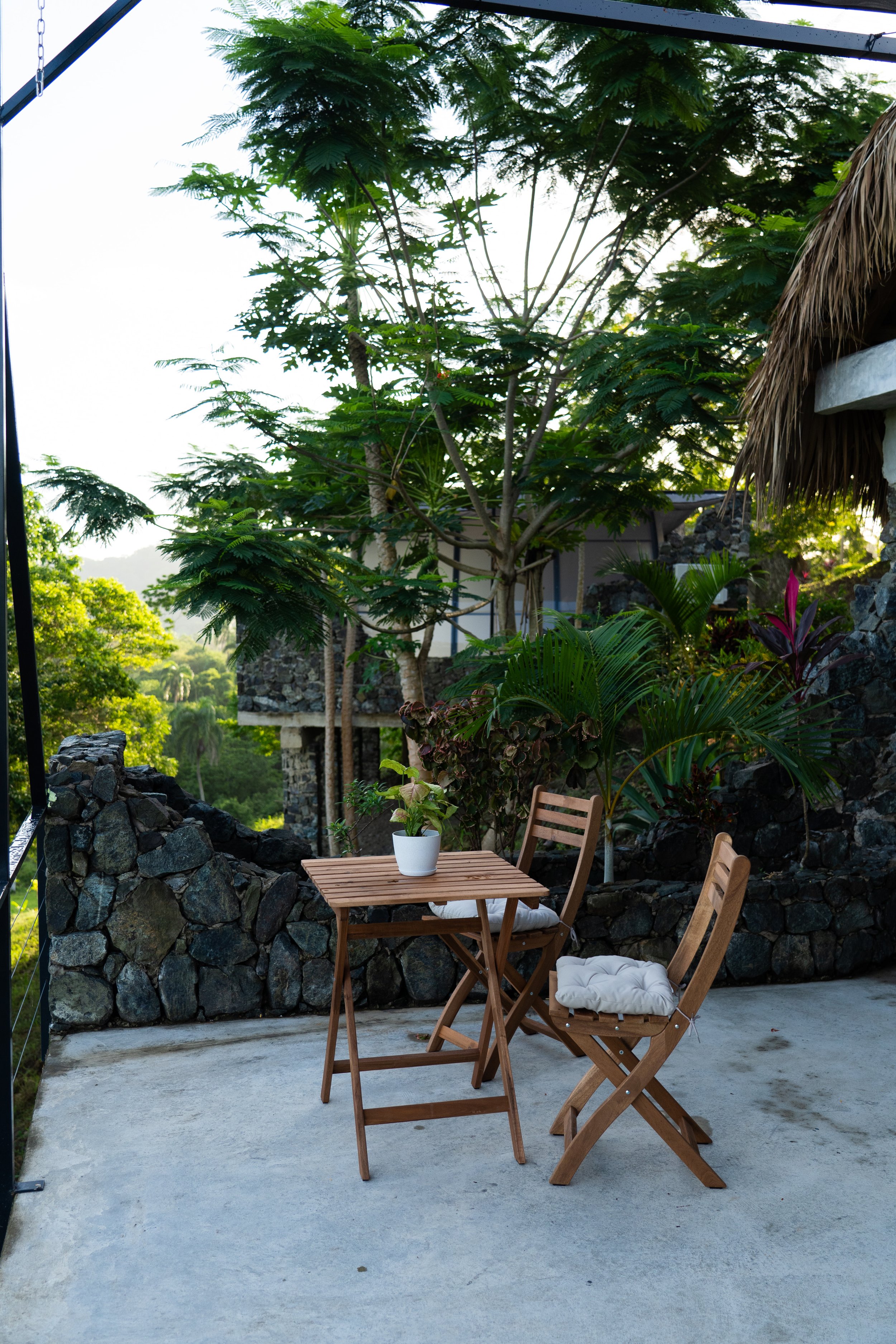 A small wooden table with two matching chairs, one with a white cushion. A potted plant with green leaves sits on the table. The scene is set outdoors on a concrete patio with a stone wall and lush tropical trees and plants in the background.