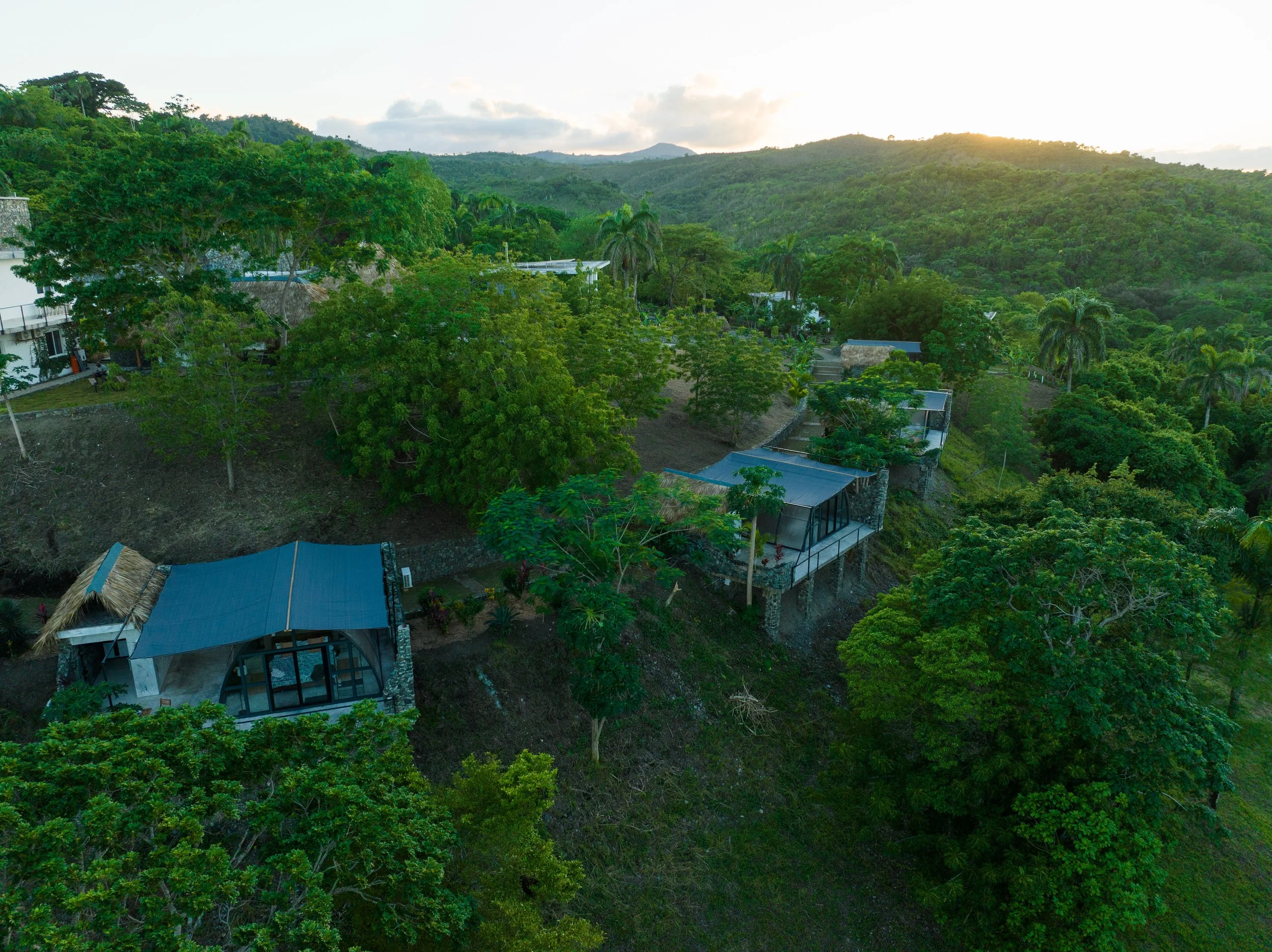 Aerial view of lush green hillside with modern glass houses and trees during sunset.