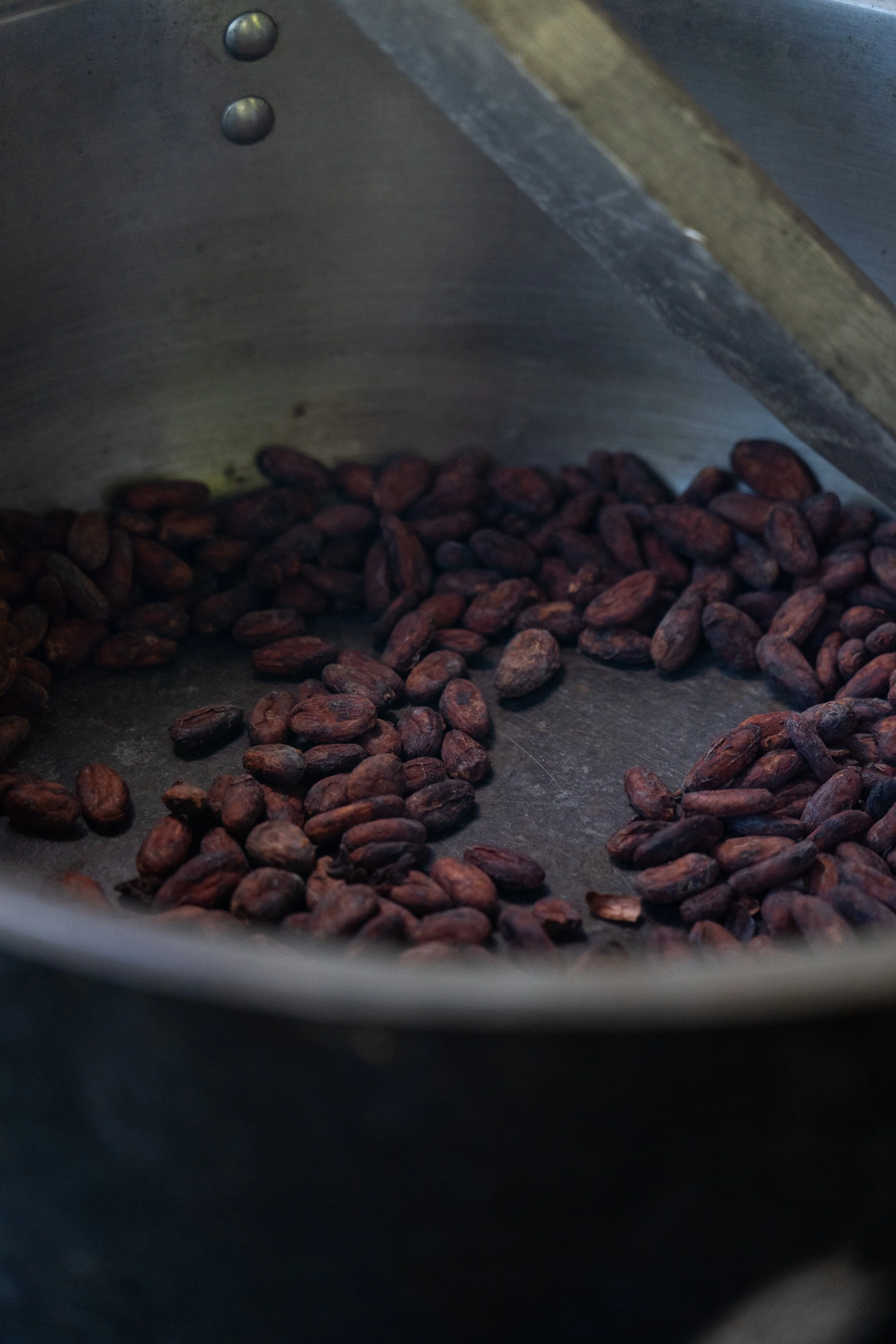 Close-up of cacao beans inside a metal container, with part of a wooden scoop visible.