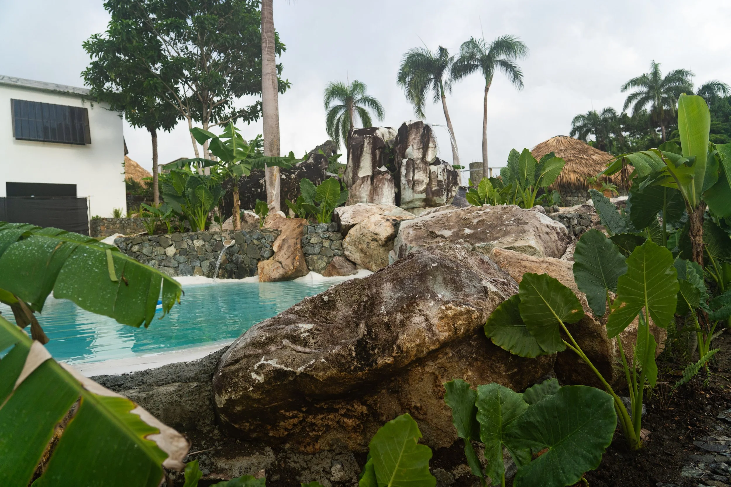 A tropical backyard with a swimming pool surrounded by large rocks, lush green plants, palm trees, and a thatched-roof hut.