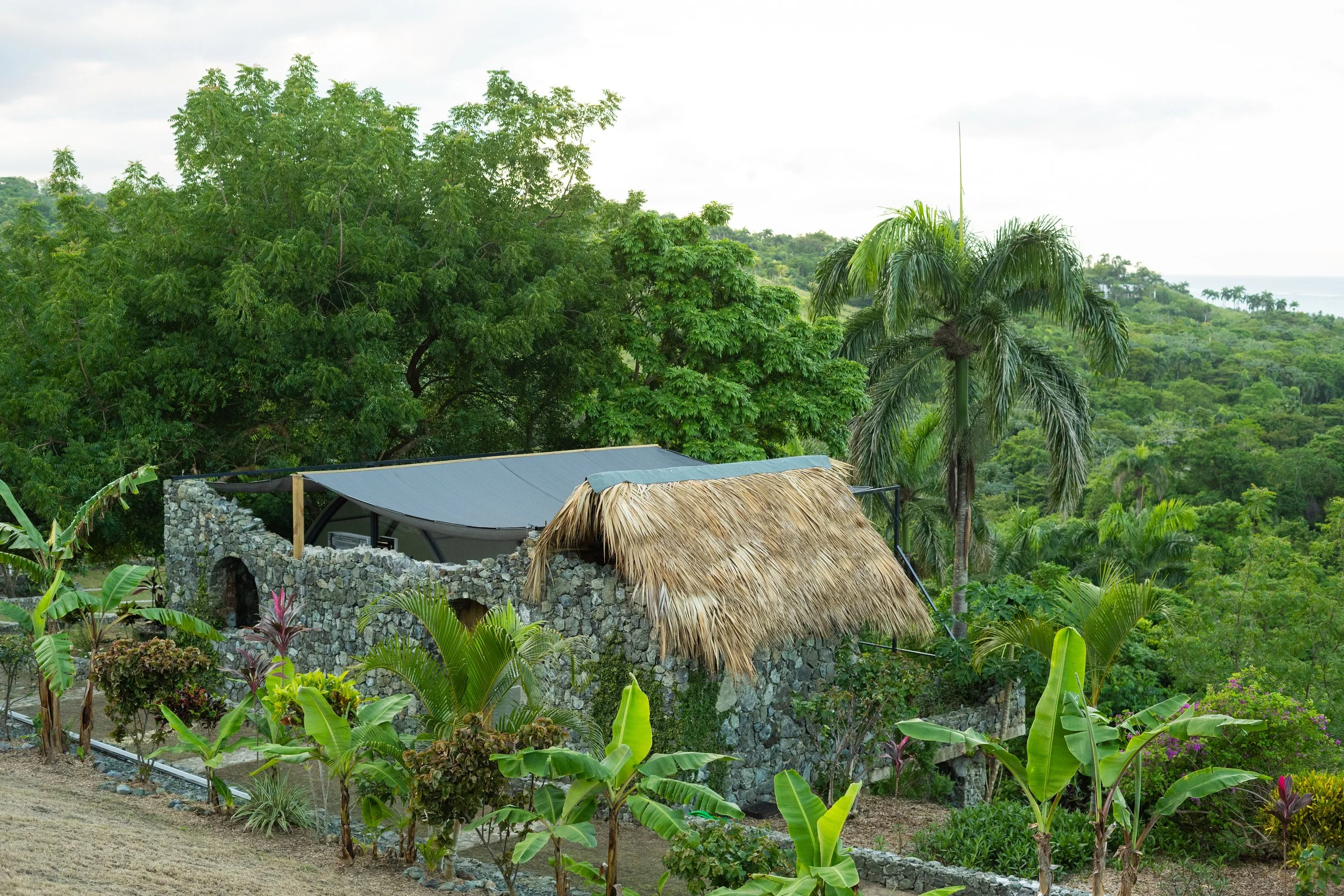 A lush green tropical landscape with a stone building that has a thatched roof and a modern metal roof extension, surrounded by various palm trees and other tropical plants.