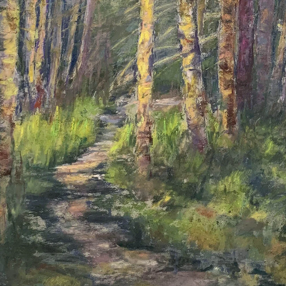 A Walk in the Forest