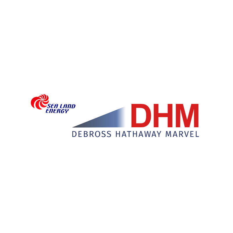 DHM.png