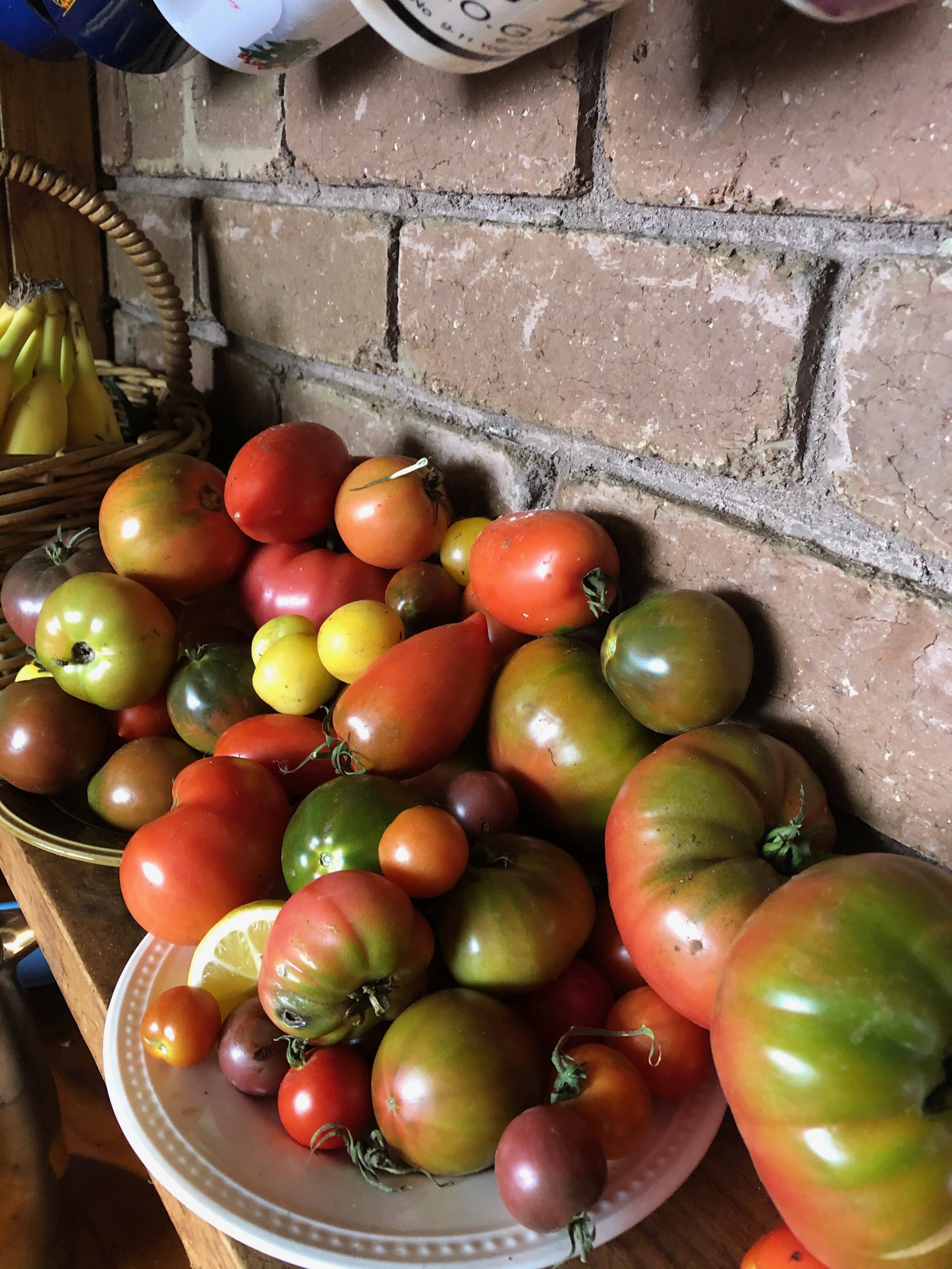 Pile of multicoloured tomatoes