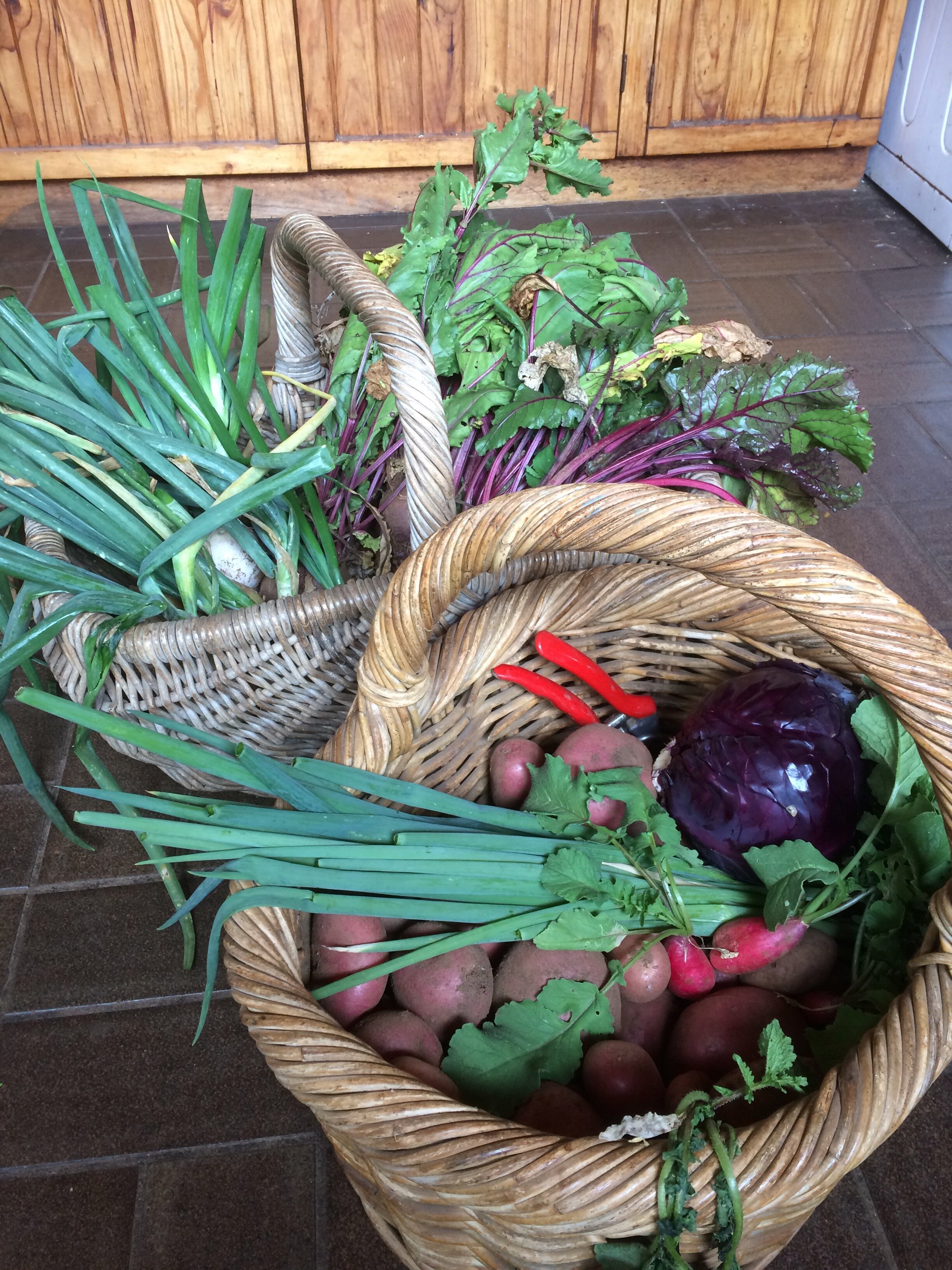 Two baskets full of mixed vegetables