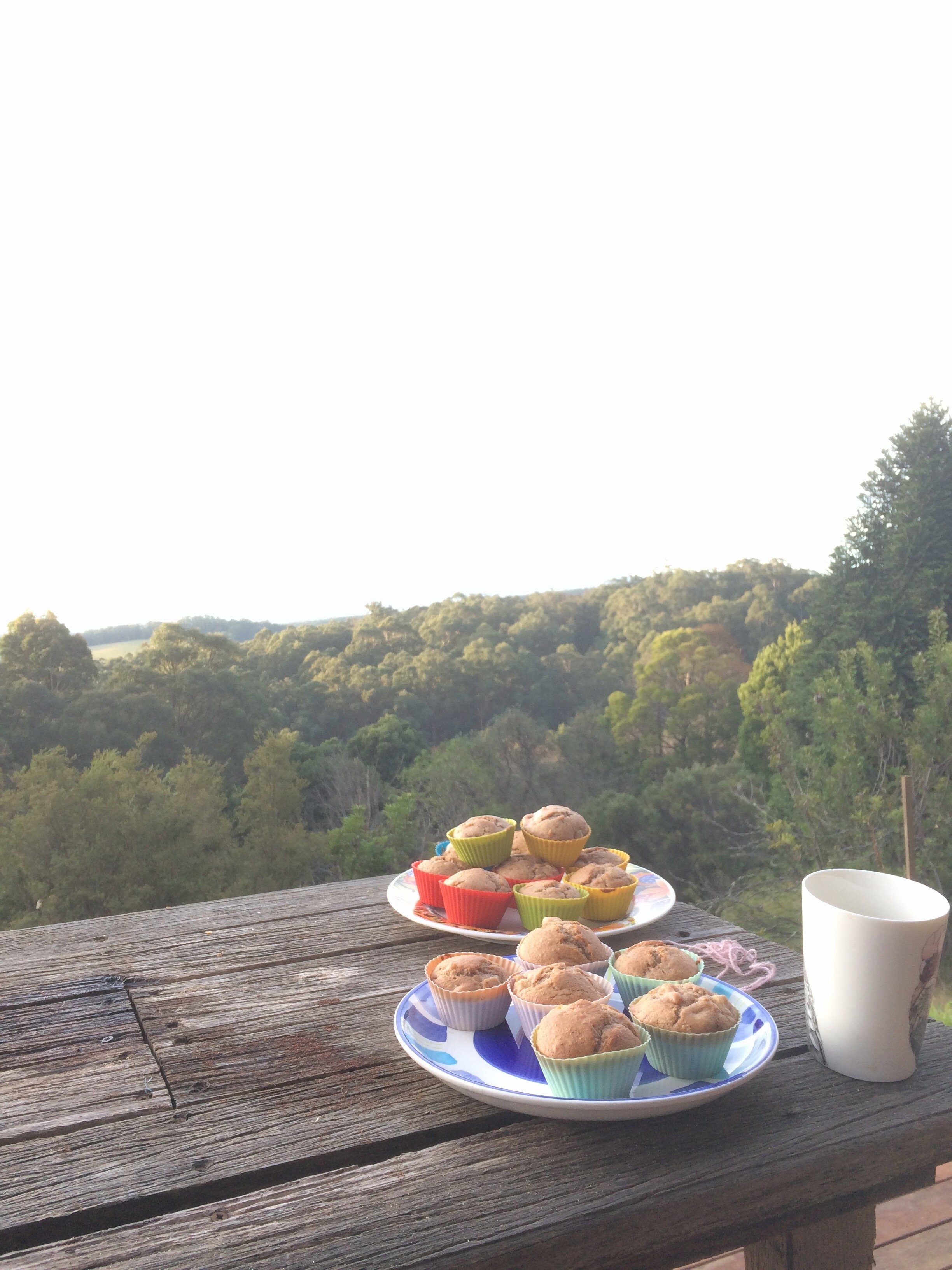 Two plates of muffins in colourful pans on outdoor table with view of trees