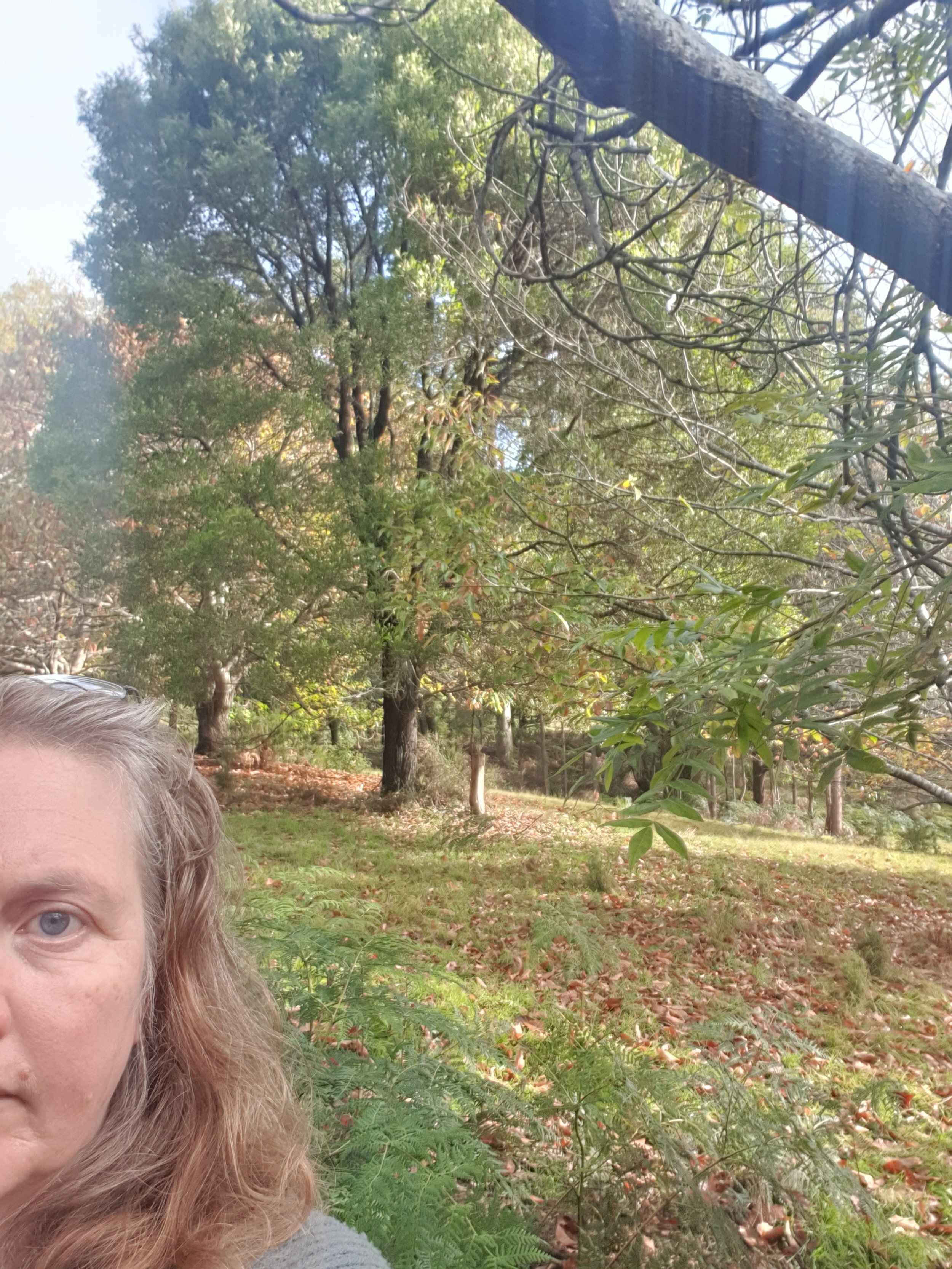 Woman with half face visible with trees behind her