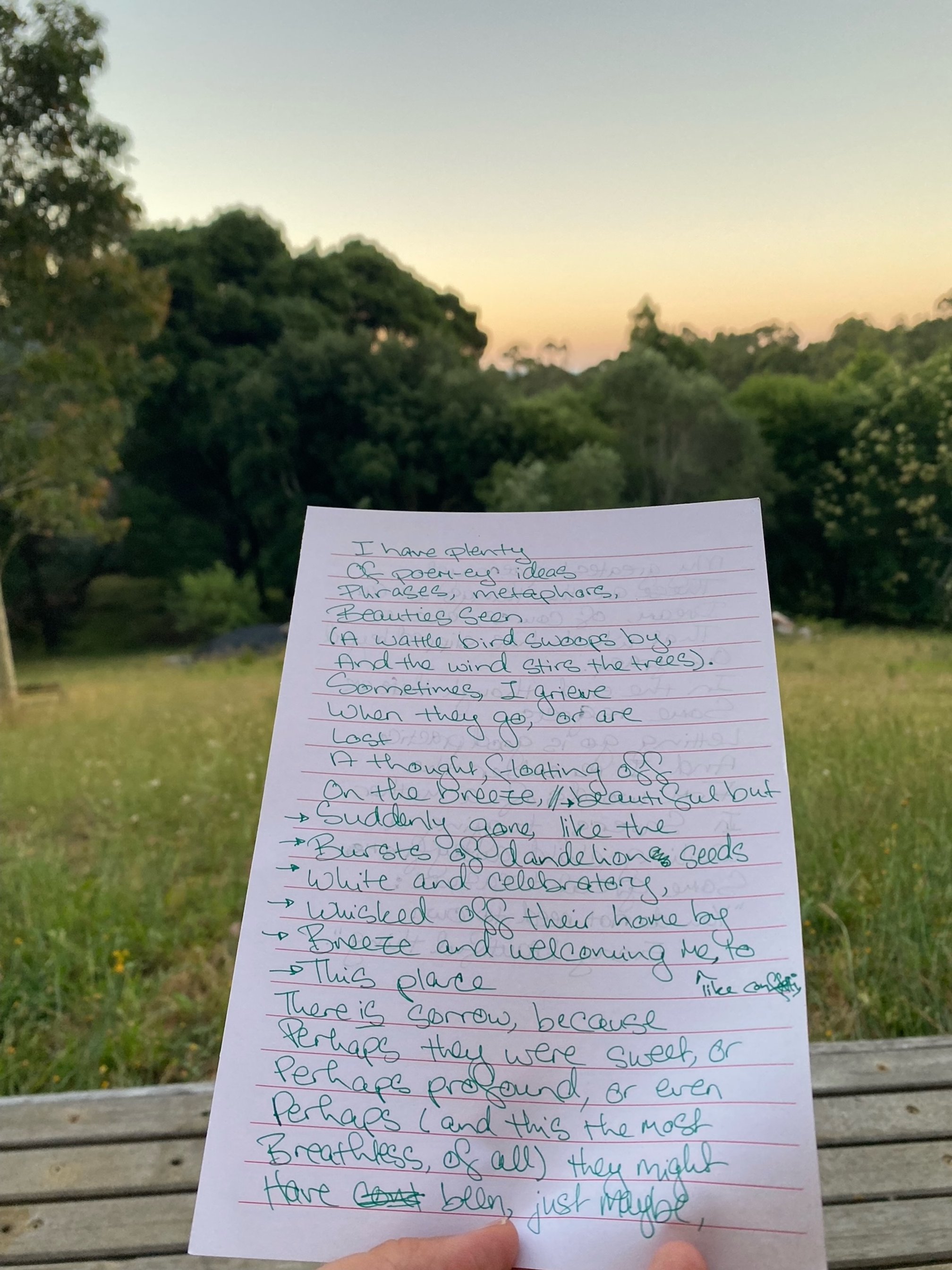 Page of handwriting held in front of dusk scene