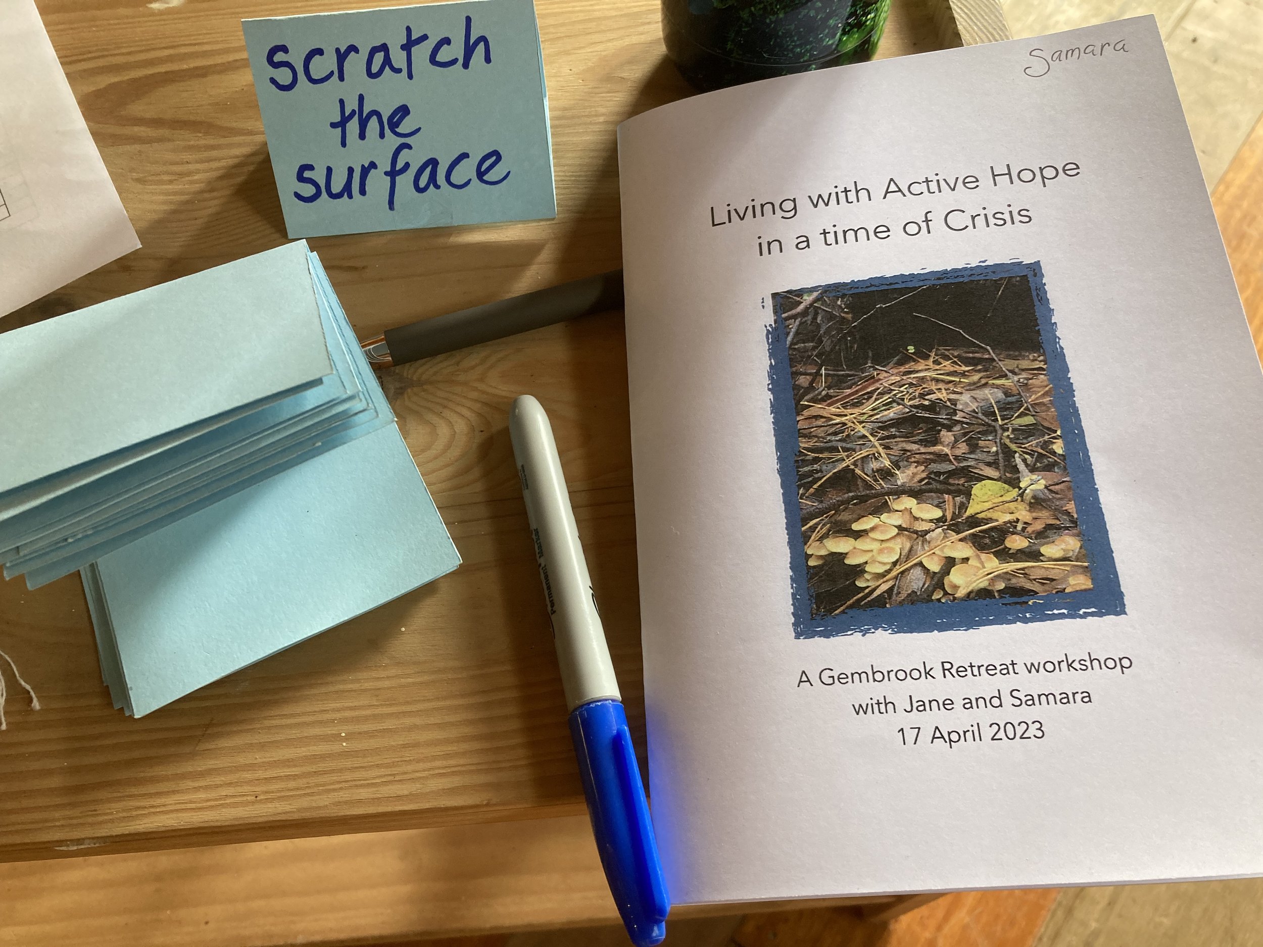 Active Hope booklet
