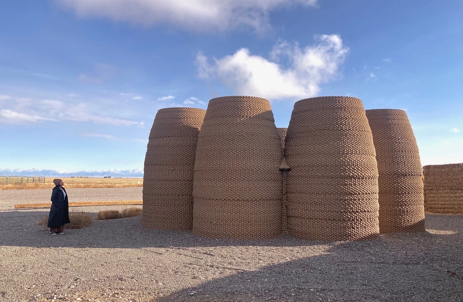 Ronald Rael - Casa Covida