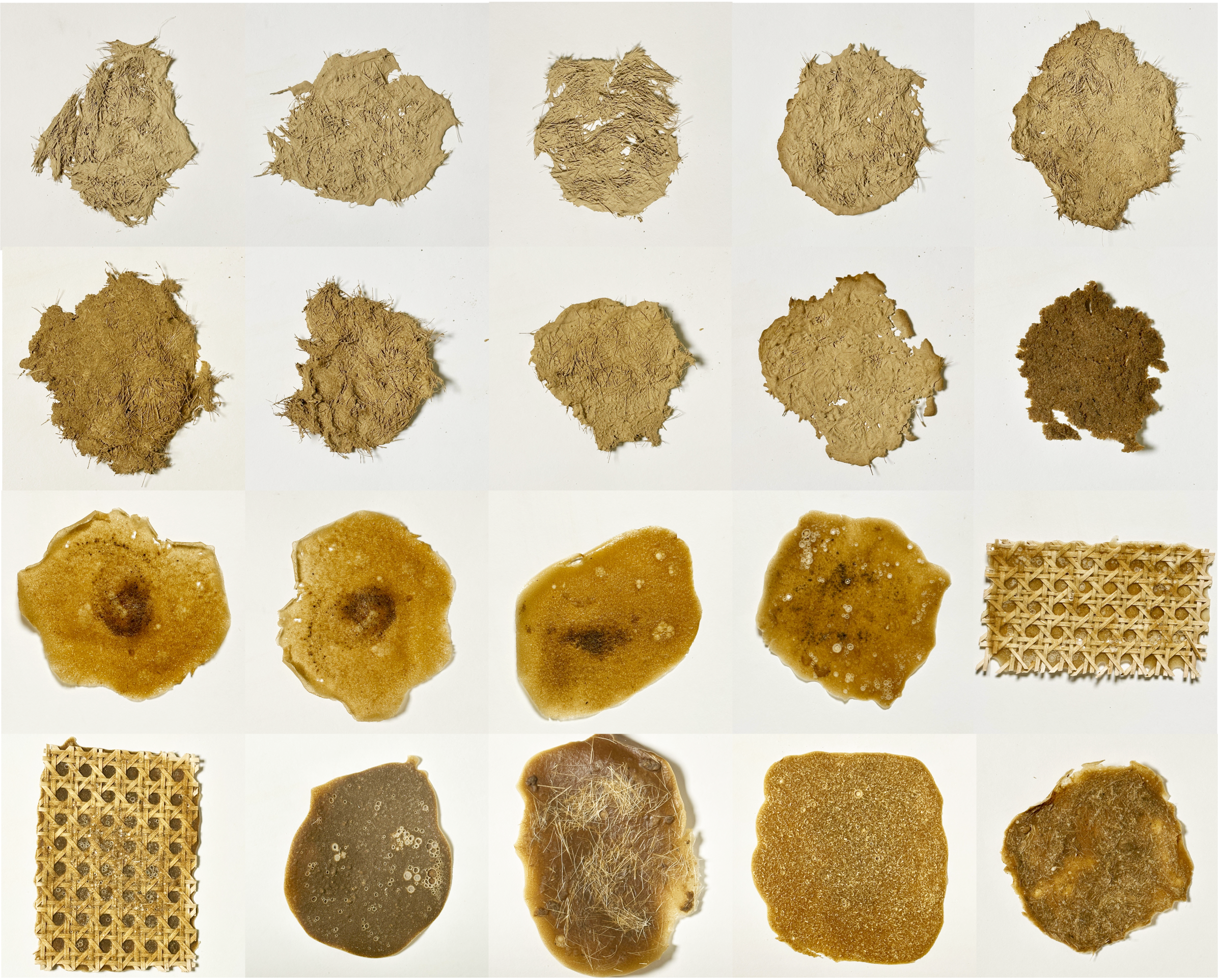 Xiyu Li, Jacky Tian, and Wenjing Xue, Exploration of Opacity in Earth-Fiber Bioplastics with Cane, 2023. Courtesy of Lola Ben-Alon and the Natural Materials Lab, Columbia GSAPP. 