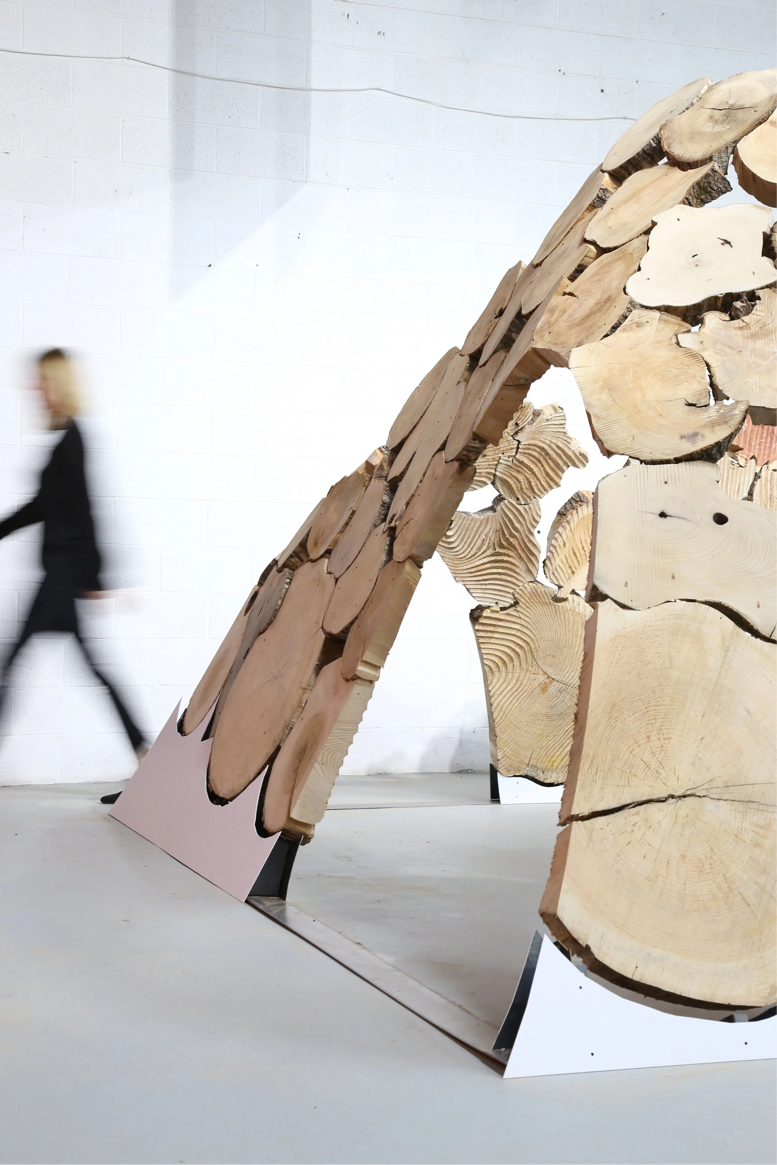 
Katie MacDonald and Kyle Schumann - Tangential Timber