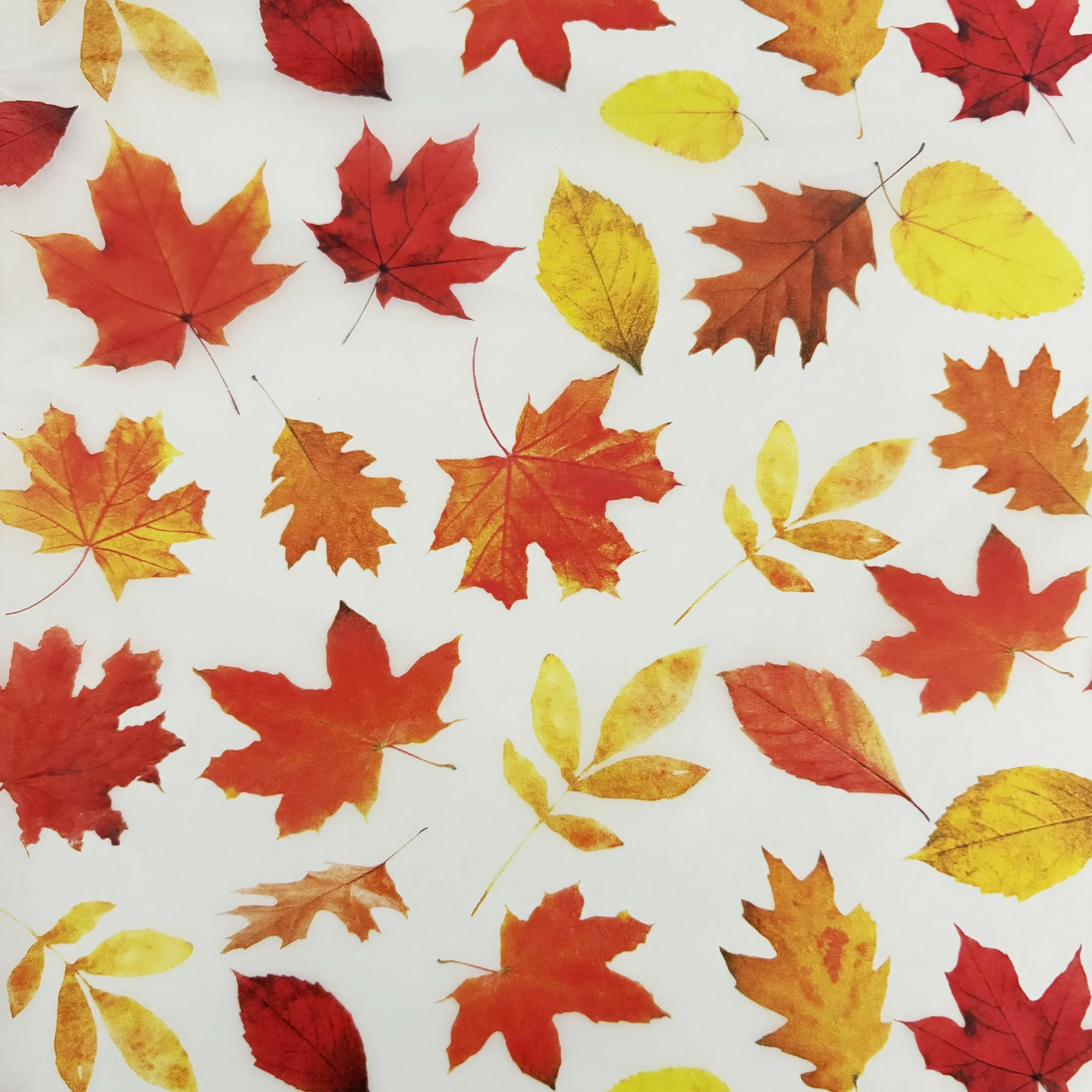 Autumn_Swatch_Leaves_Sept26_LtAdjust.jpg