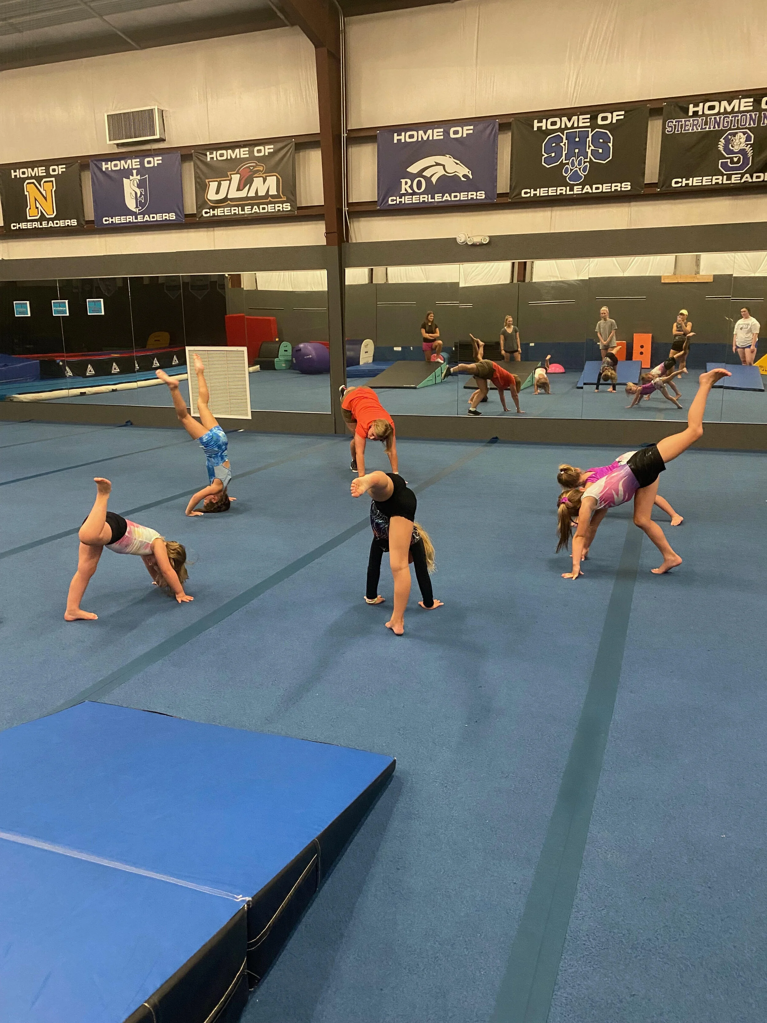 Cataylst Gymnastics