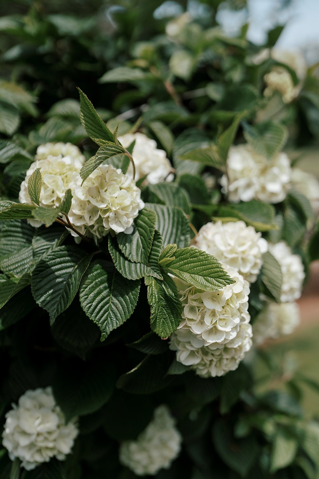 NW-Details-7.jpg