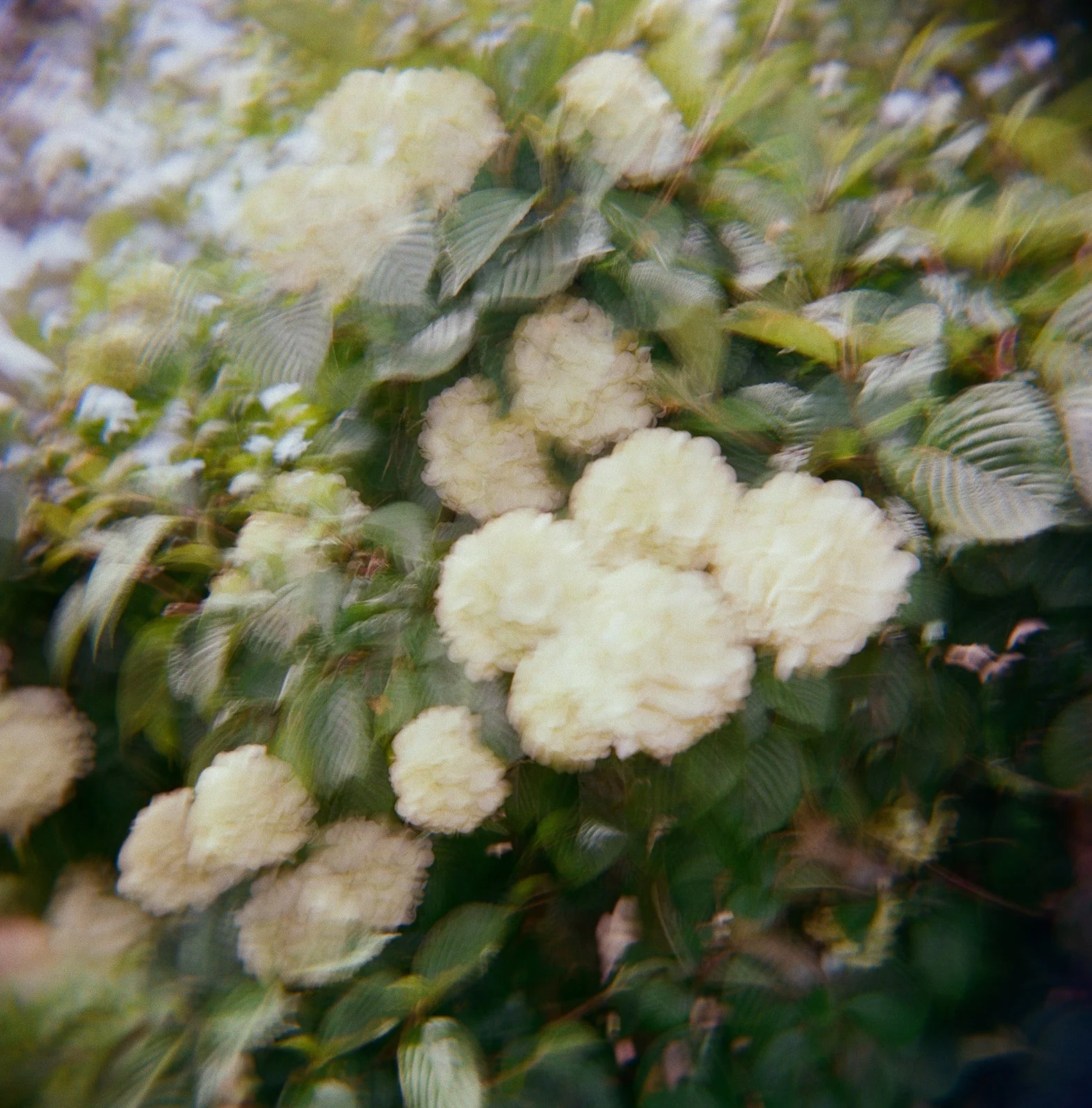 NW-Details-11.jpg