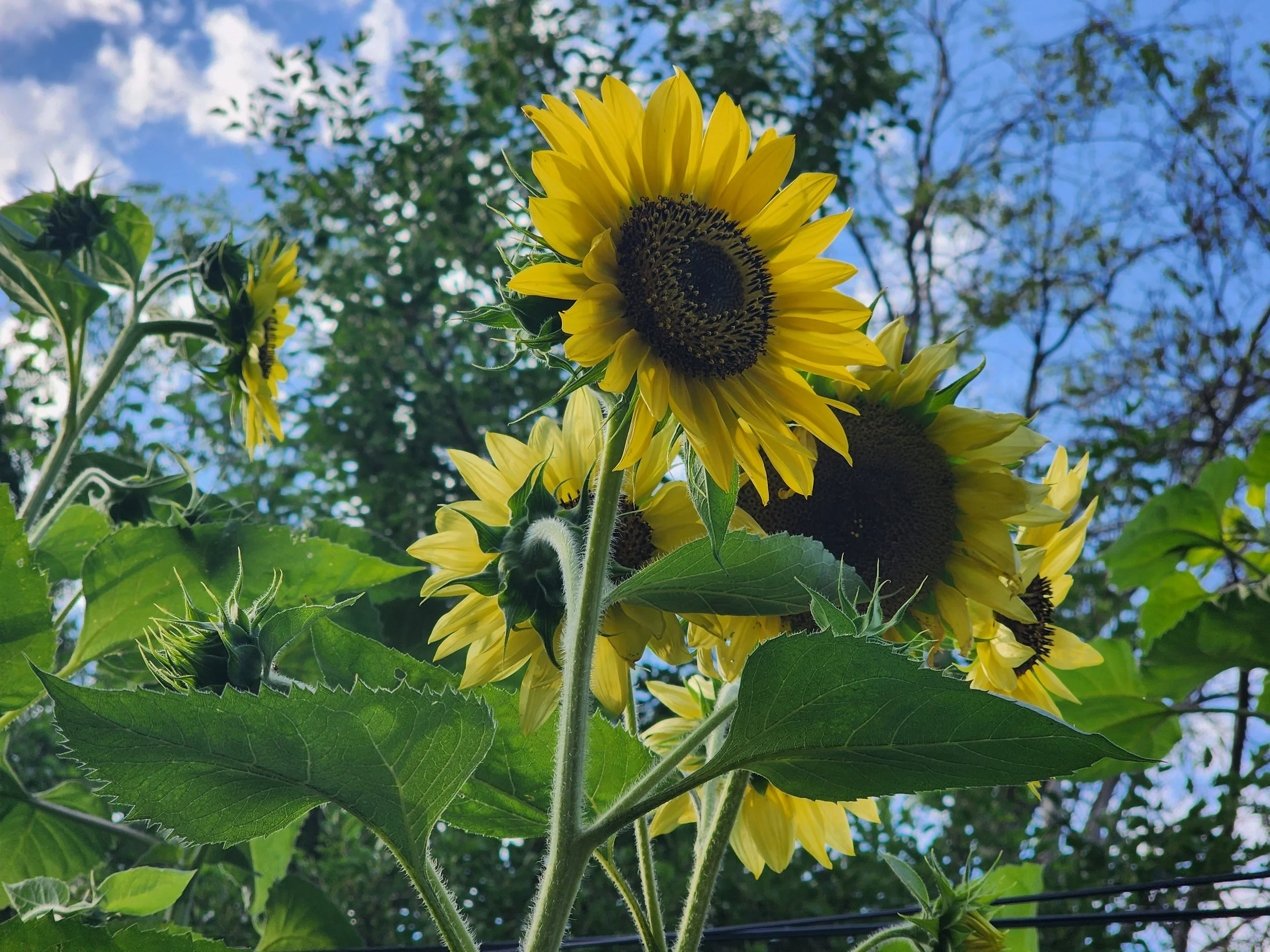 20230612_182054.jpg