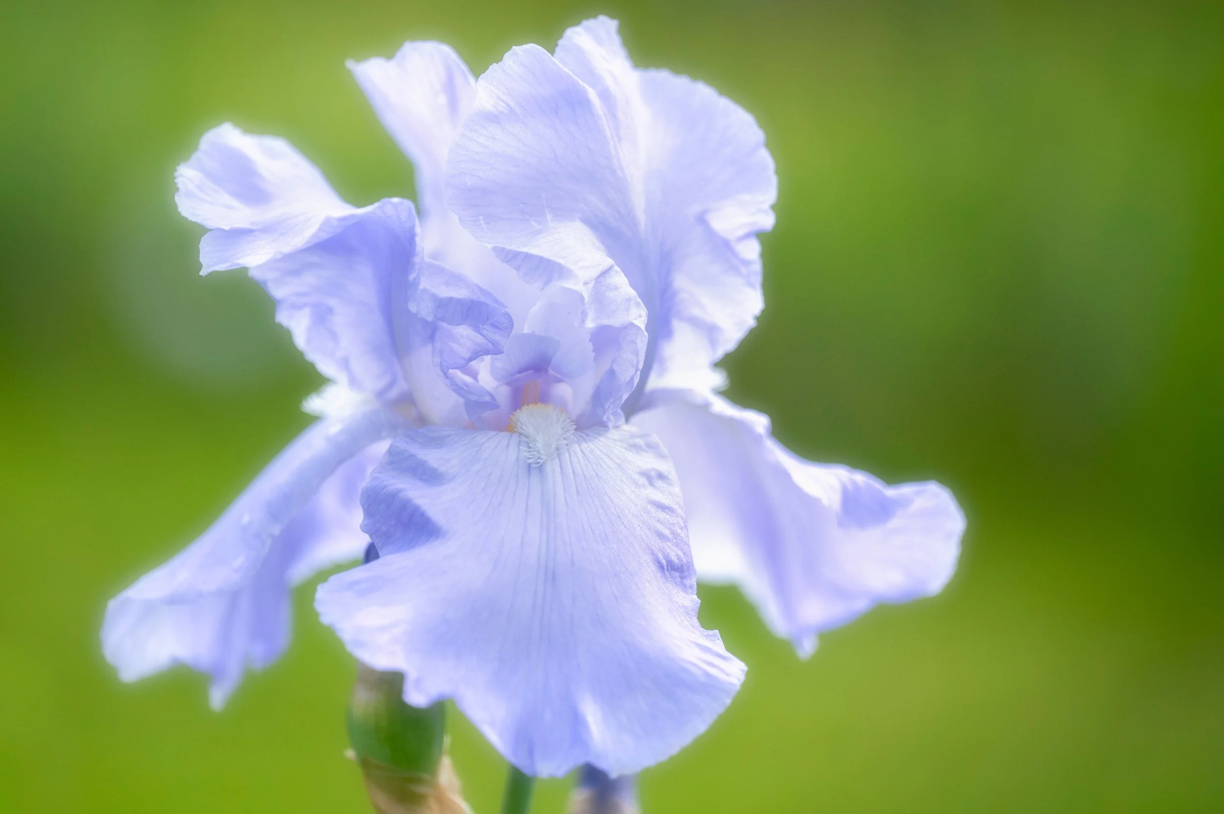 AdobeStock_1896438812.jpeg