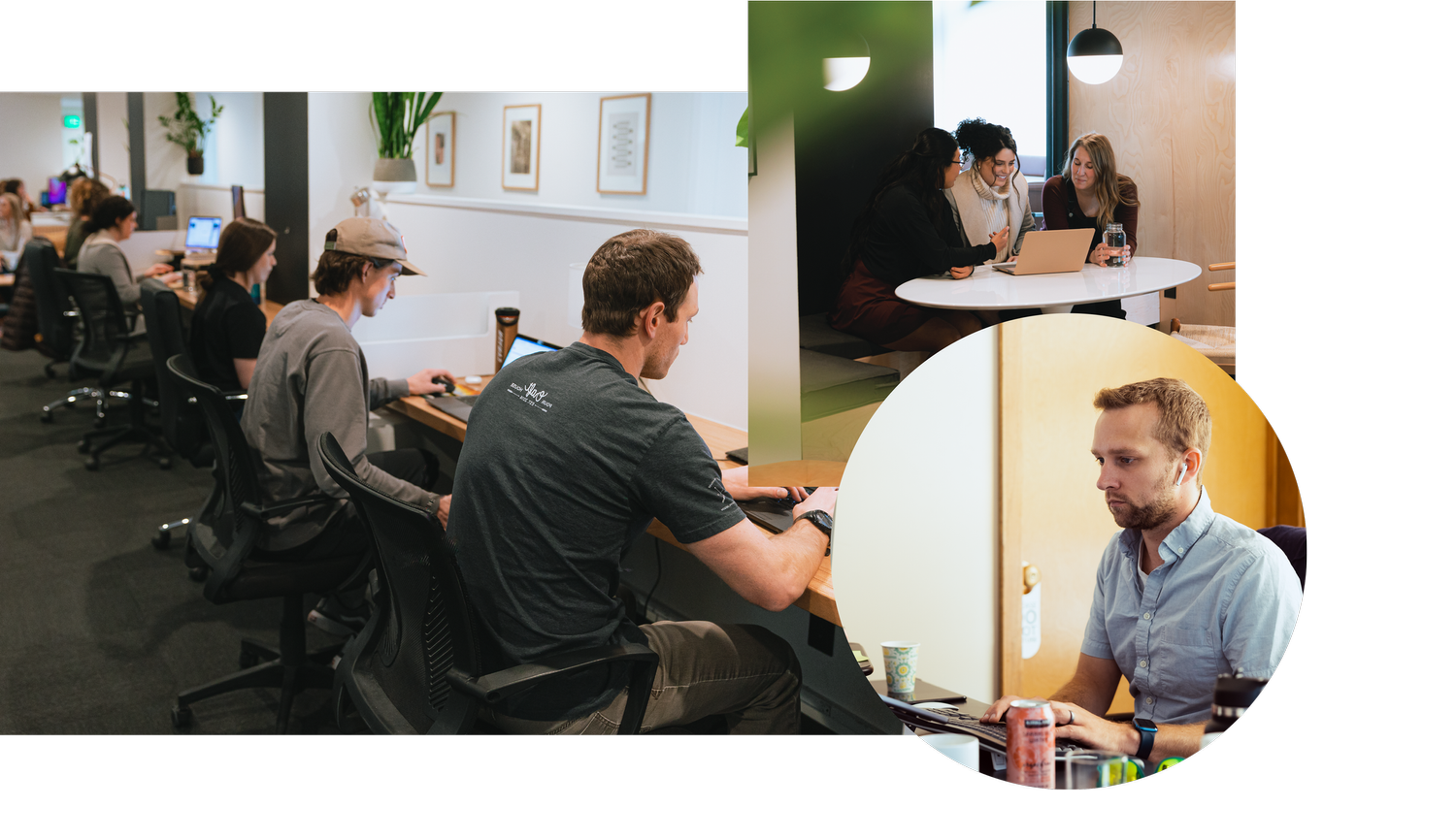 Careers | Pathlabs