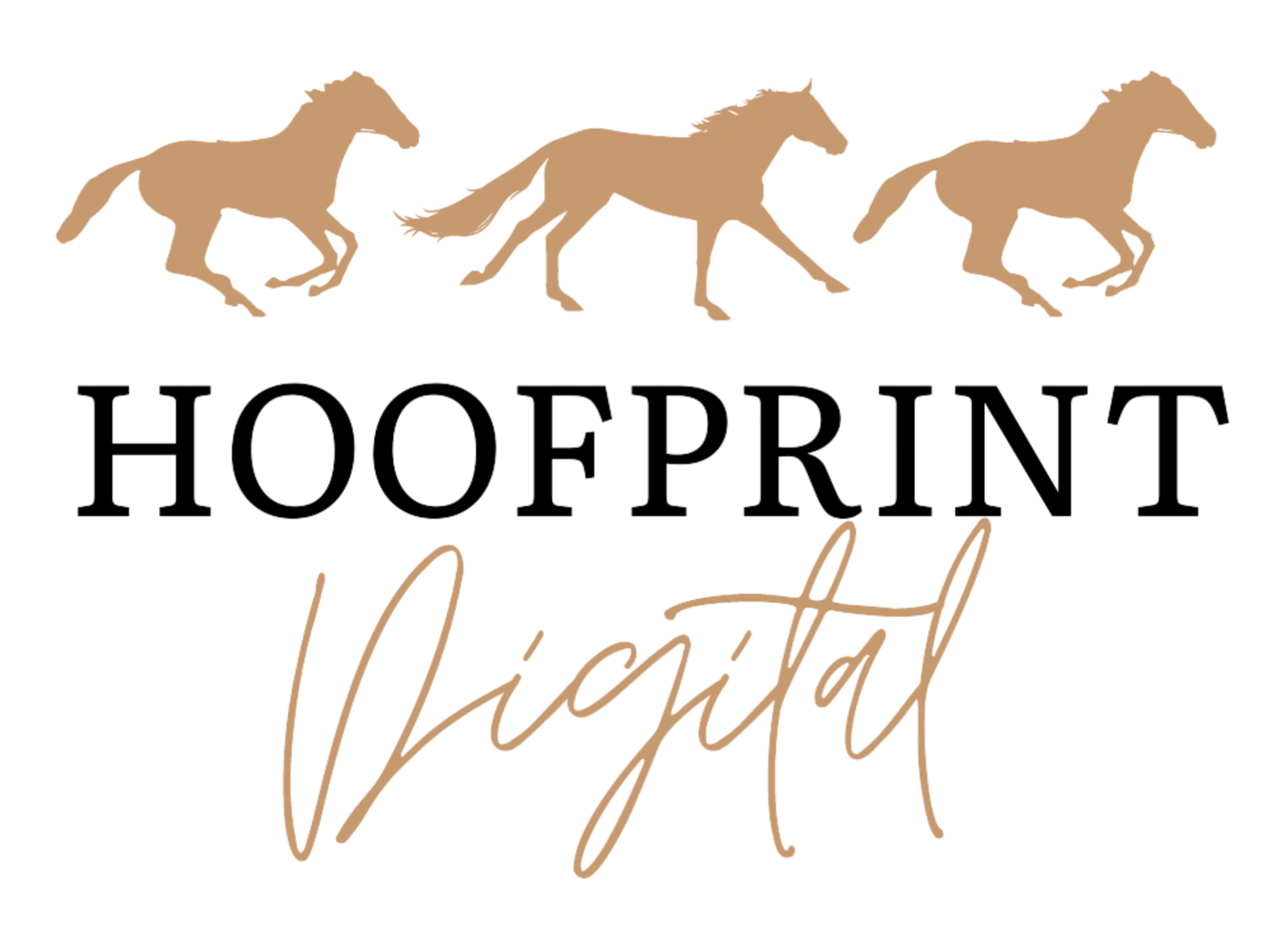 Hoofprint Digital | Equestrian Digital Marketing, Copywriting &amp; Website Design