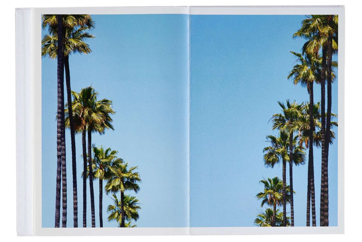 palm trees Tony_Kelly_-_Nowhere_-0010.jpg
