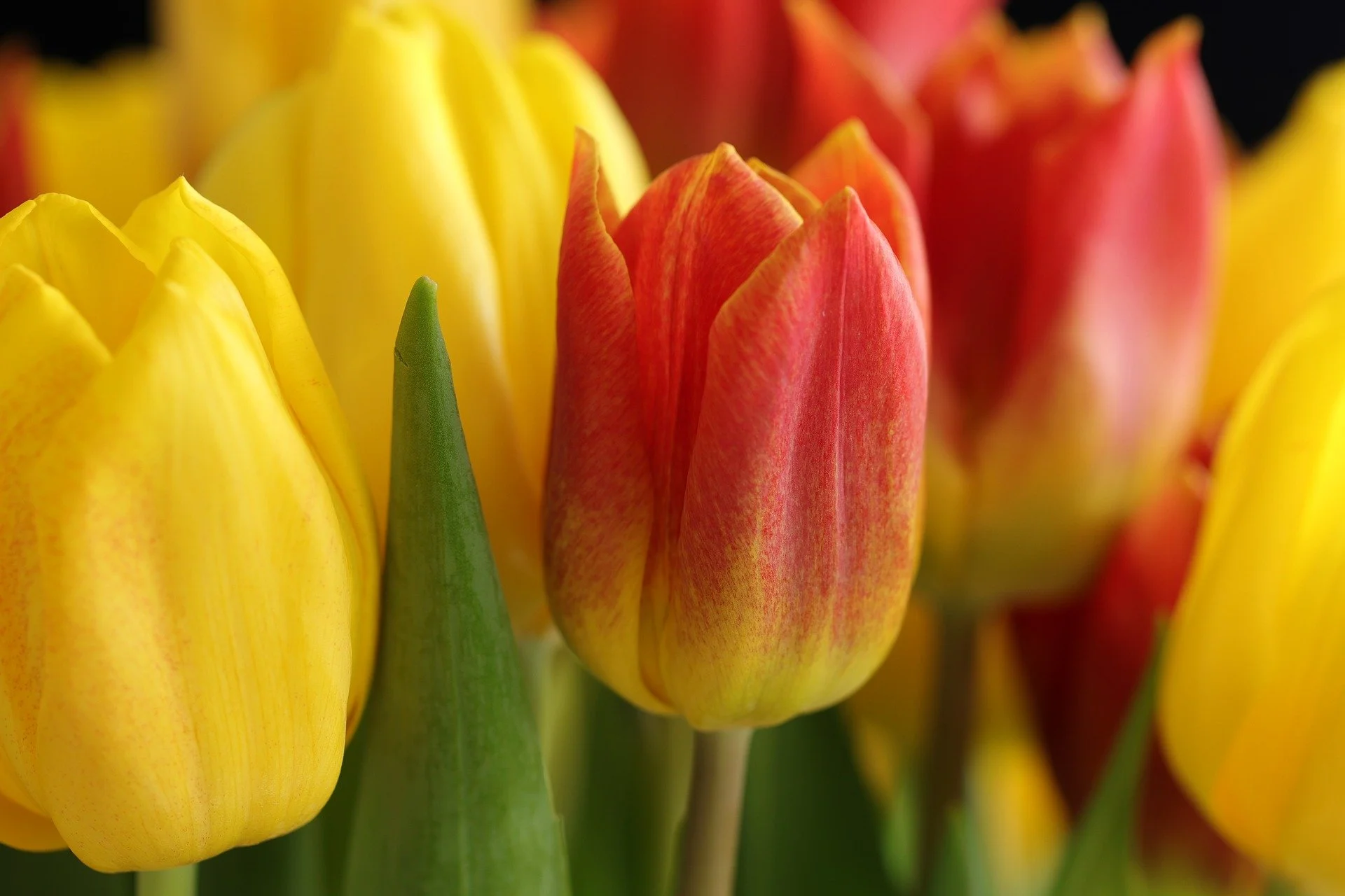 East Nashville Home Prices | Weekly Market Update March 7, 2022