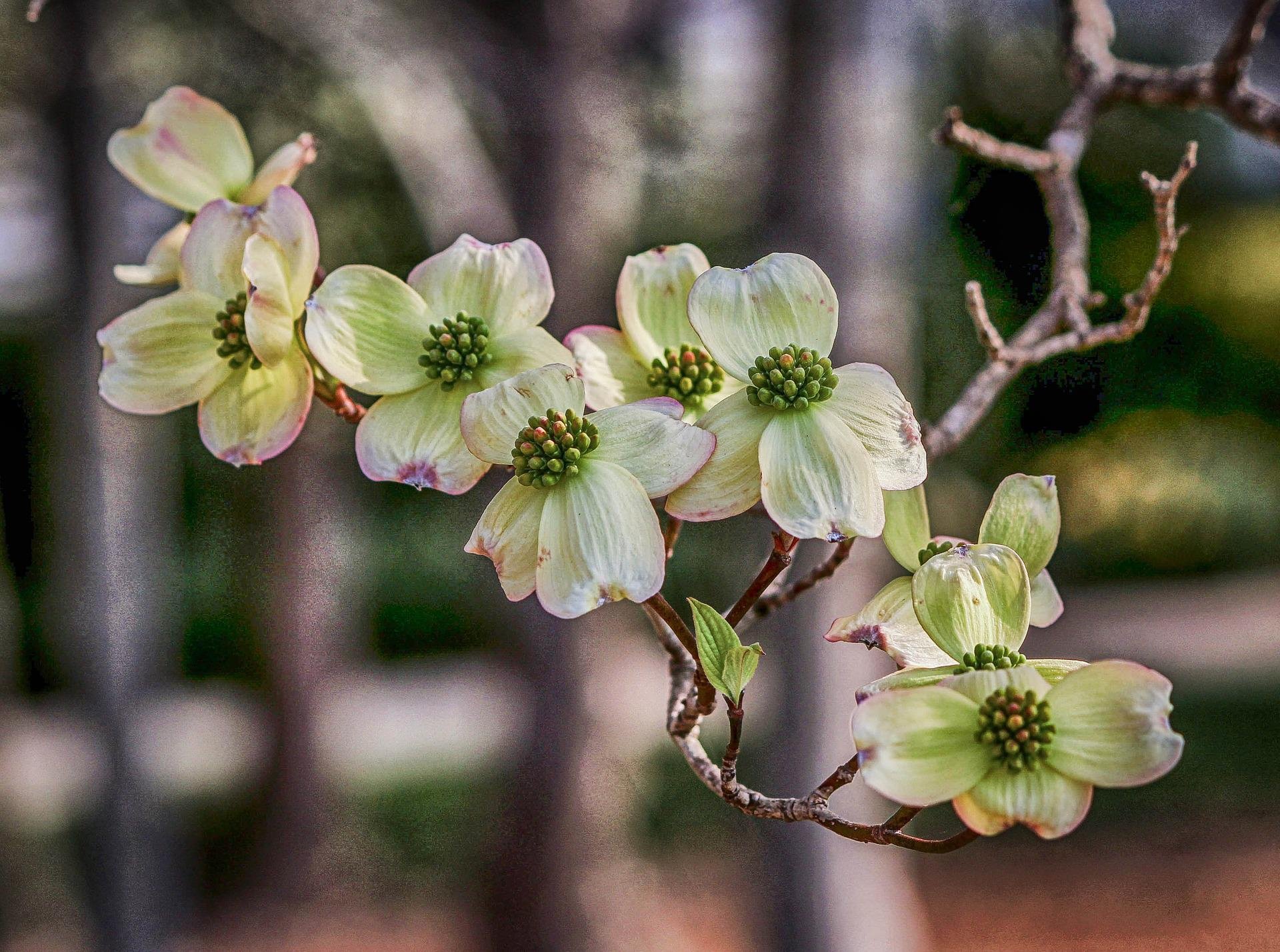 East Nashville Home Prices | Weekly Market Update April 4, 2022