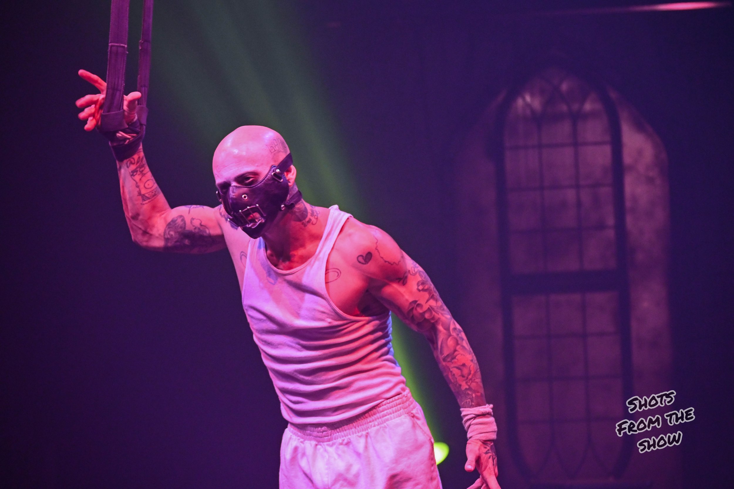 MikePfeiffer_ParanormalCirqueIIIFS-1145.jpg