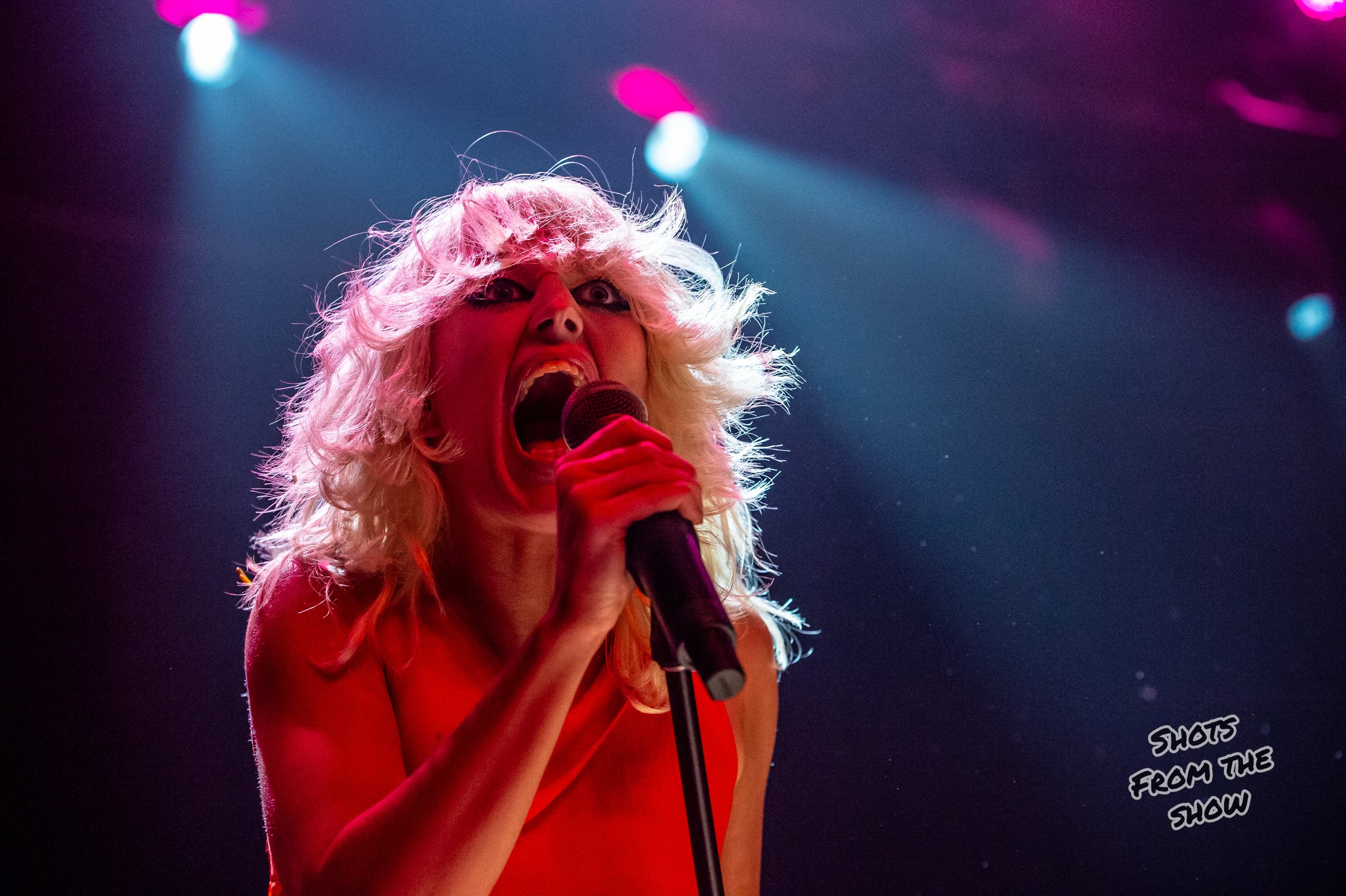 amyl and the sniffers-5.jpg