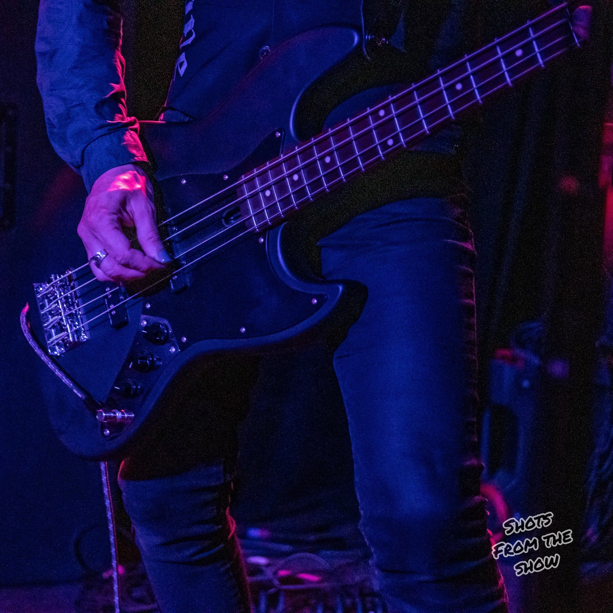 hMikePfeiffer_MarchViolets-08.jpg