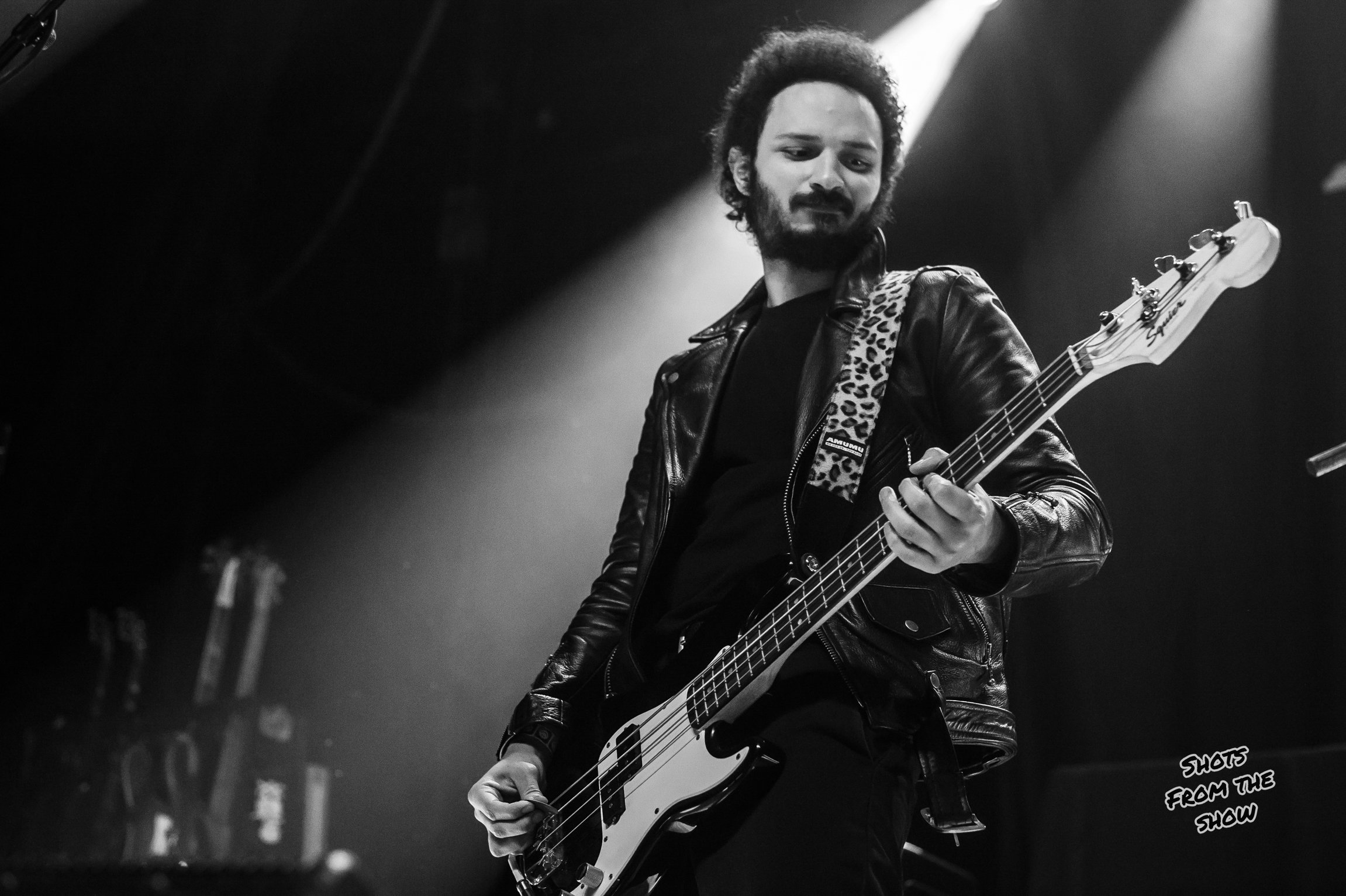 the_bellrays-4.jpg