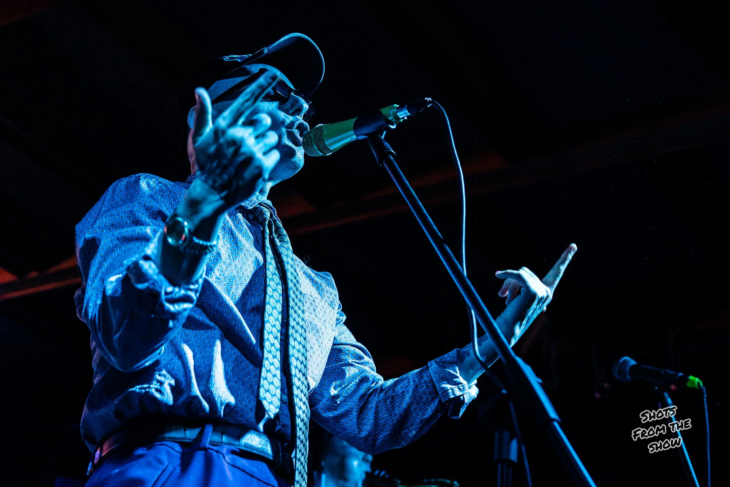 Crazy and the Brains-15.jpg