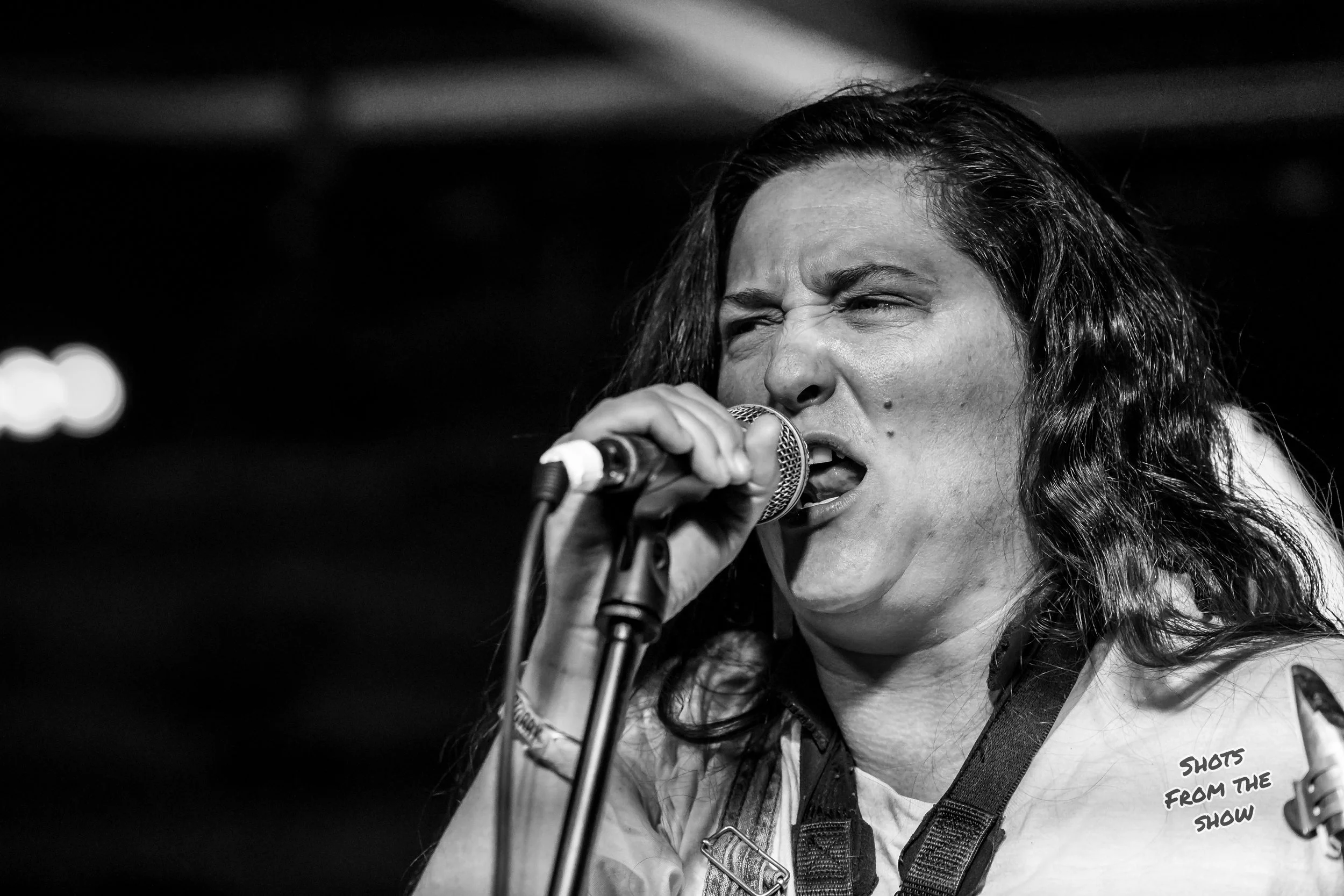 Hans Gruber and the Die Hards-41.jpg