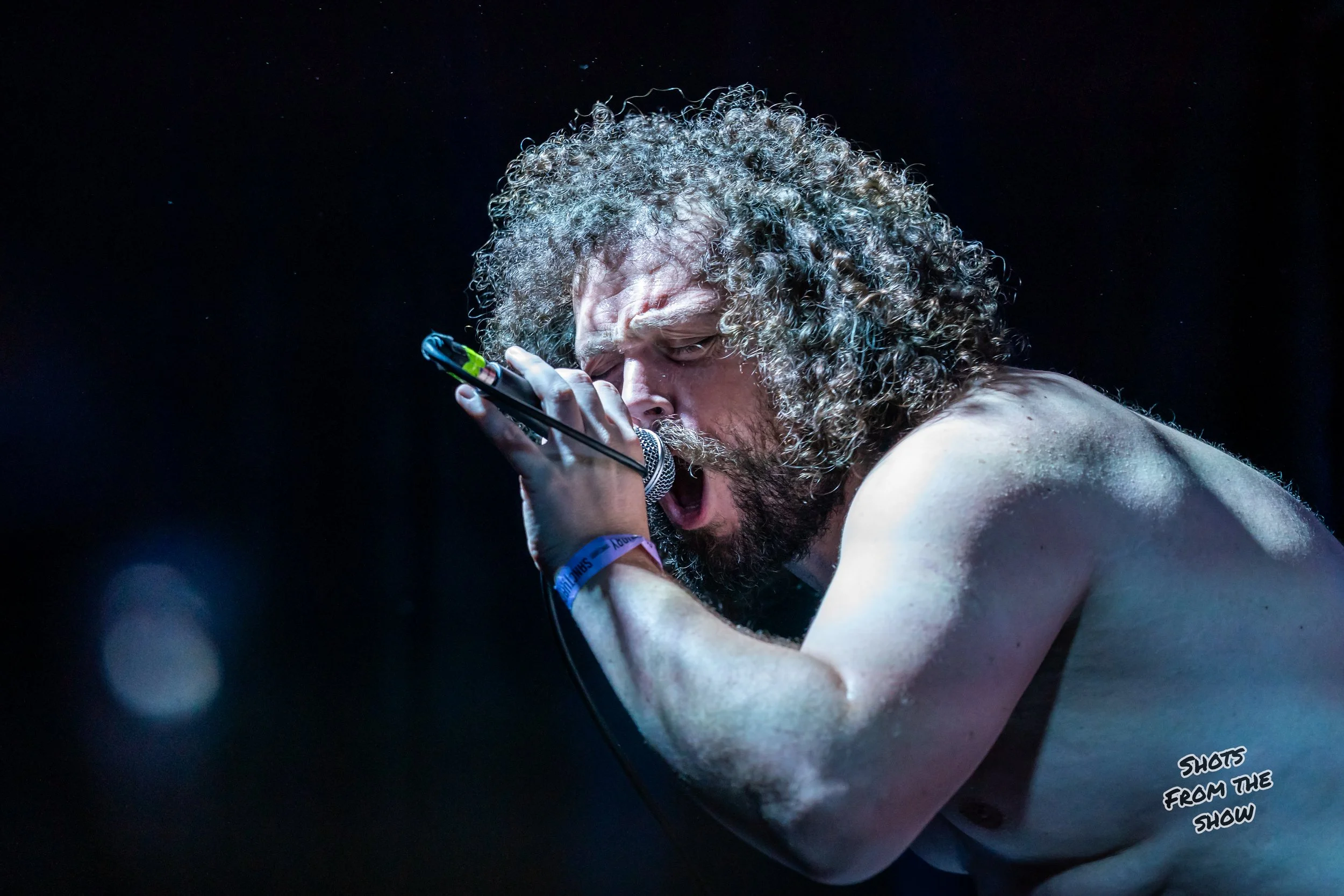 Hans Gruber and the Die Hards-43.jpg