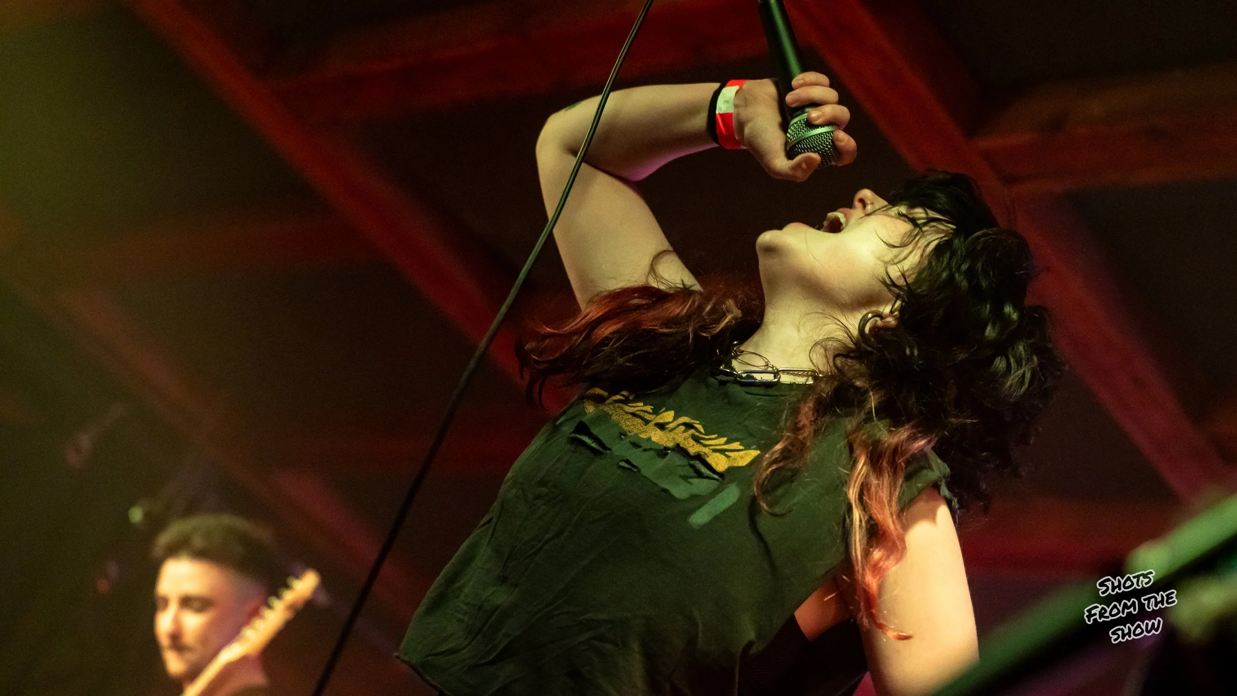Minnesota Punk Rockers Vial’s “Hellhound” Tour Rocks Hamtramck