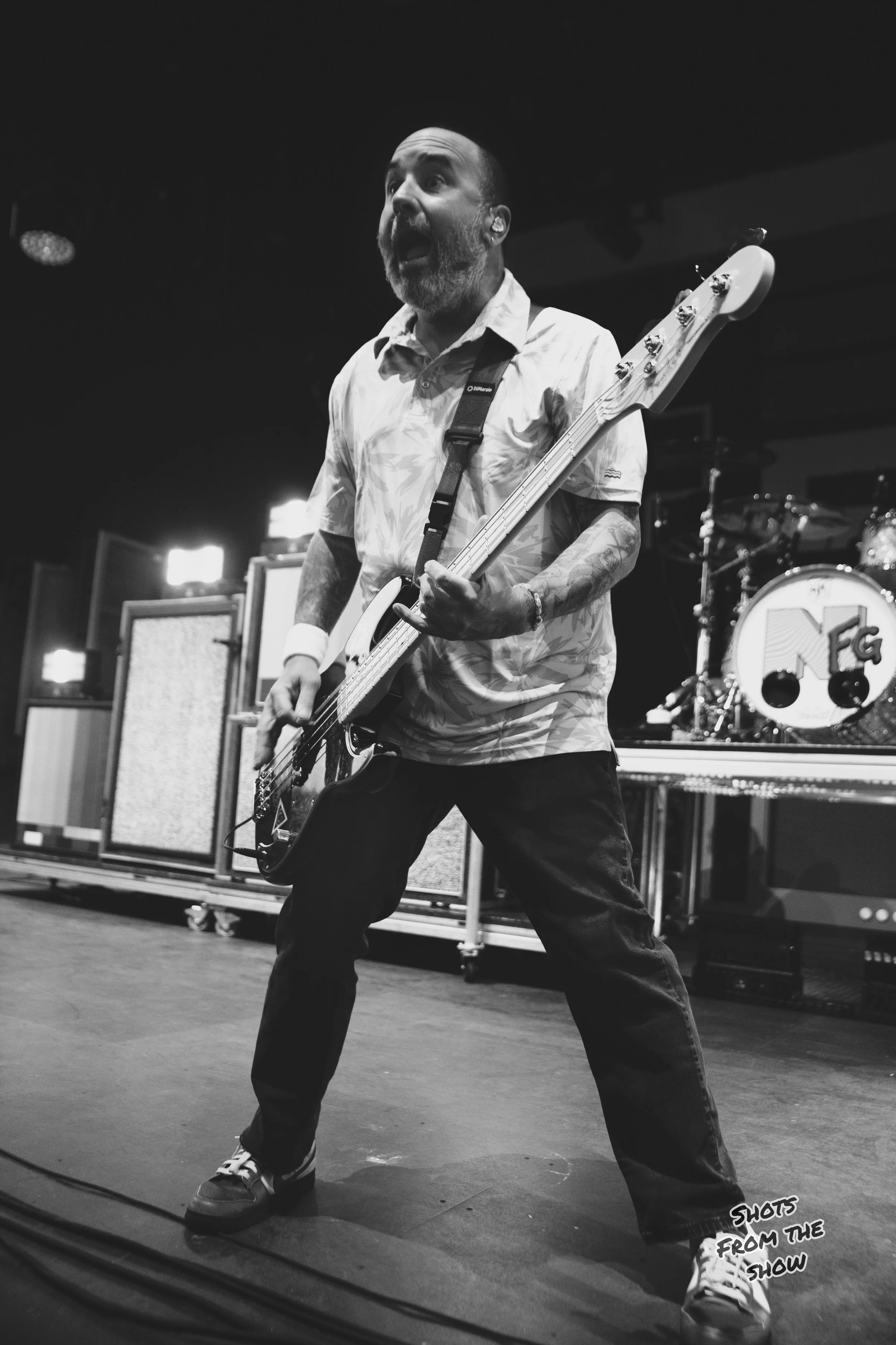 NFG8.jpg