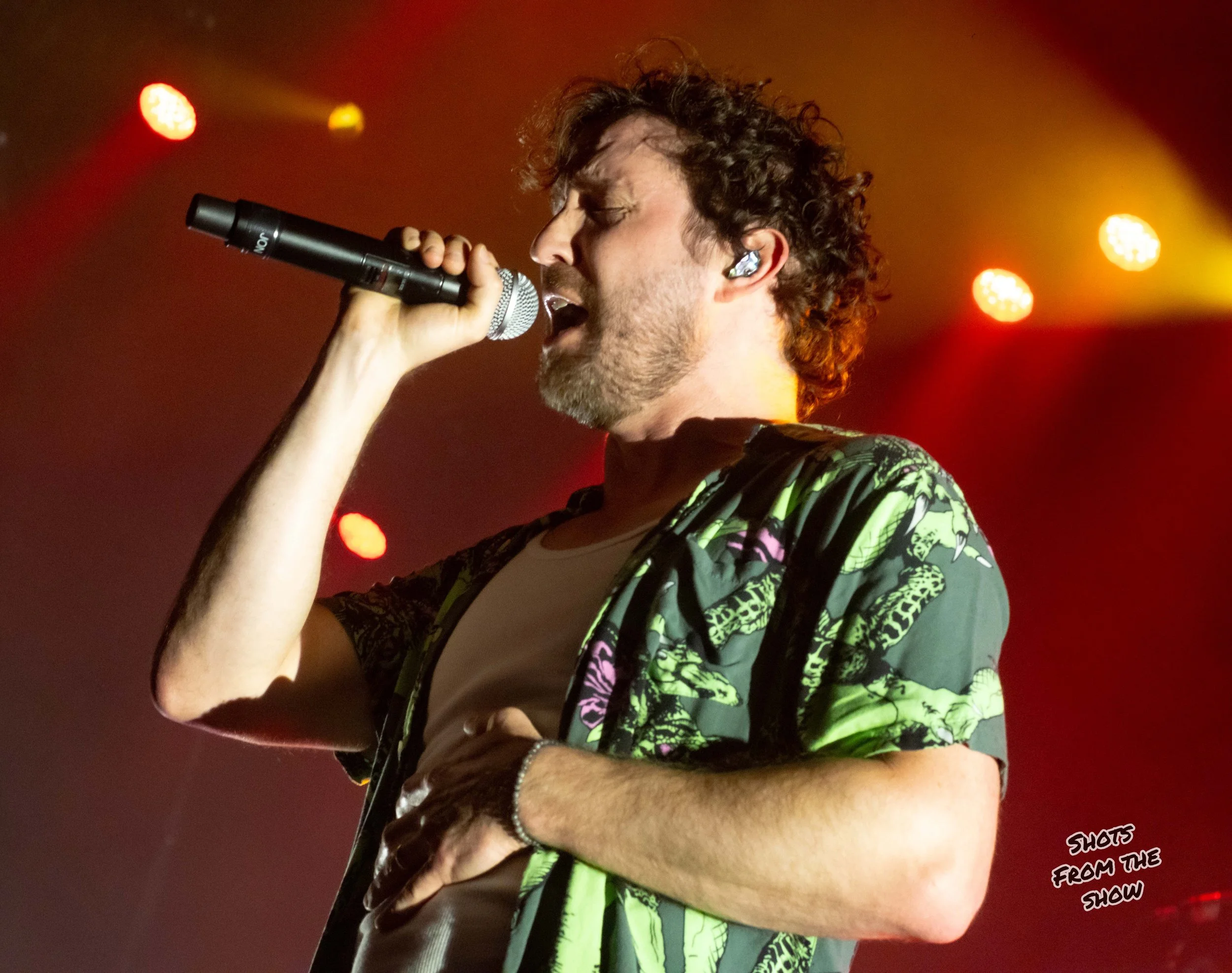 dgd8.jpg