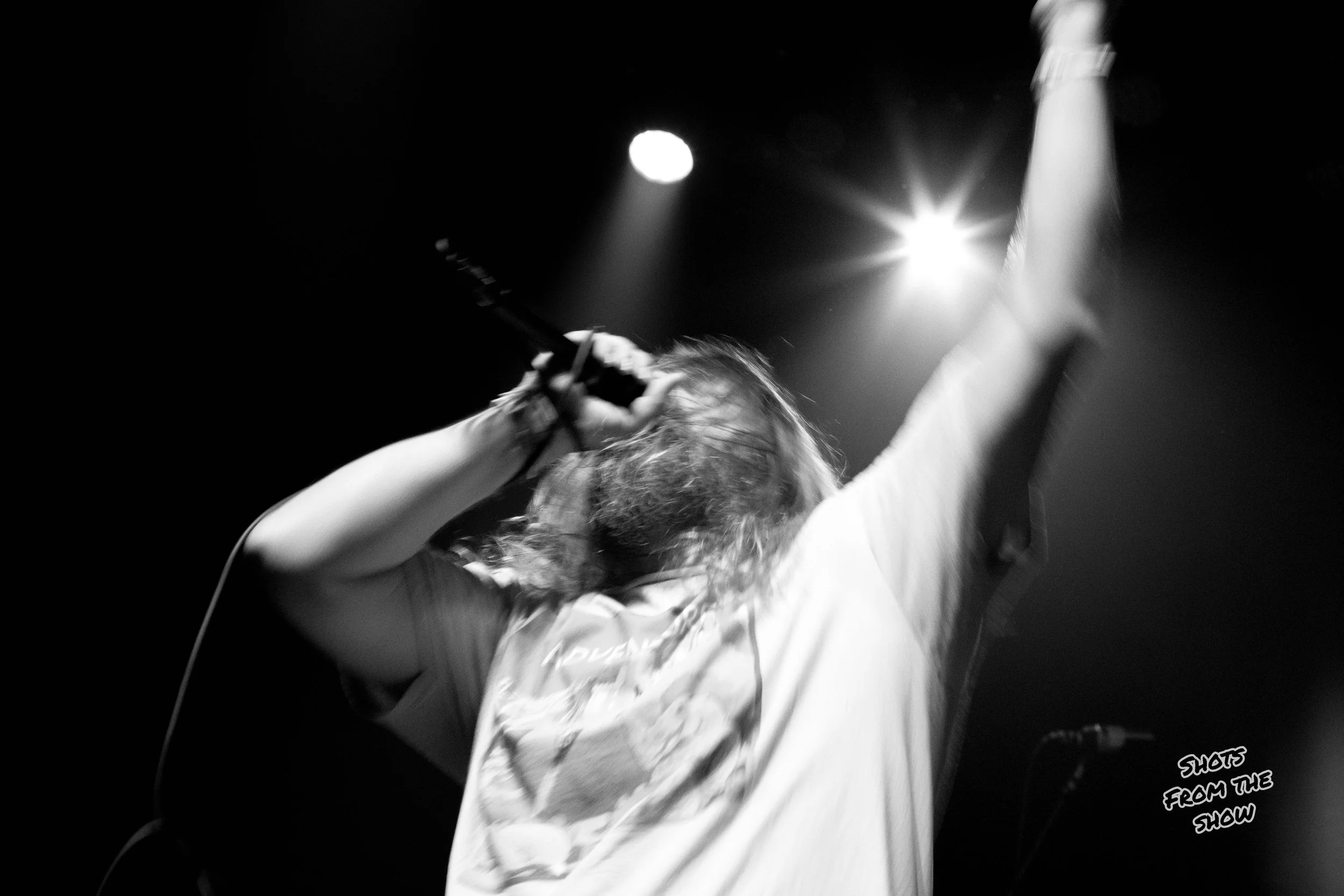 HorsetheBand7.jpg