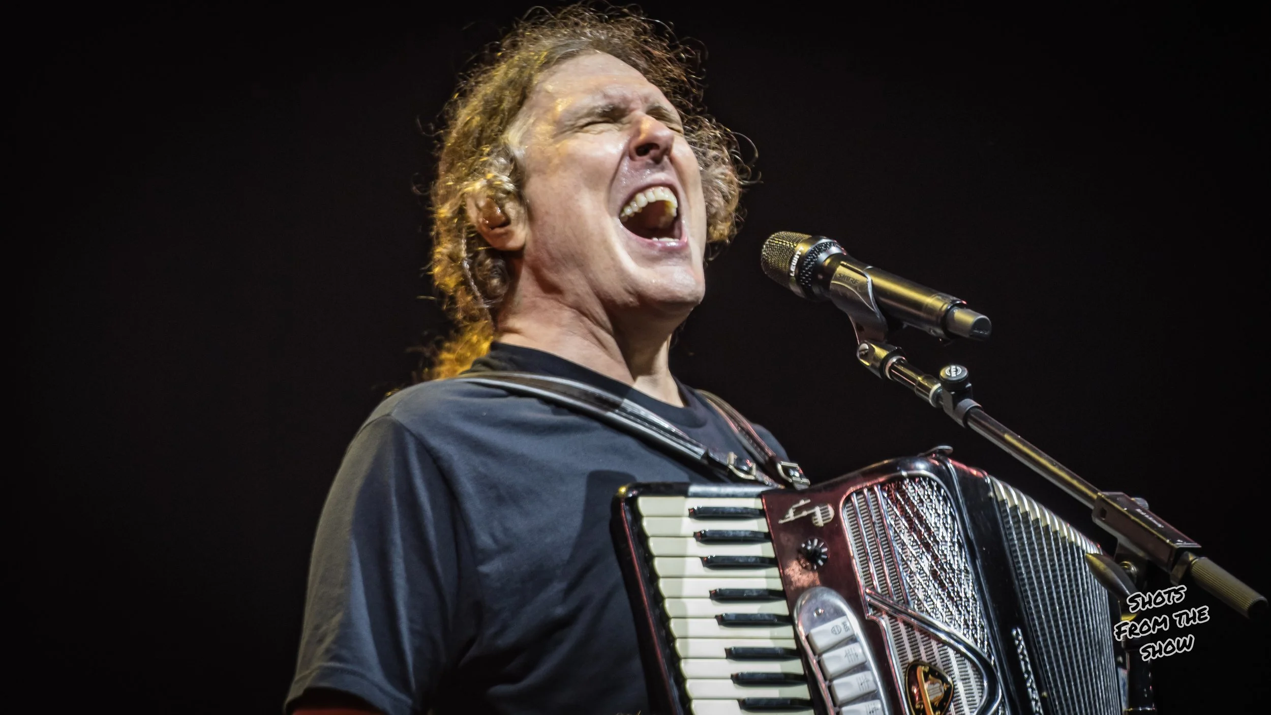No A.I. Just Al, Polka, and Parodies: Weird Al Returns to Saginaw wsg Puddles Pity Party