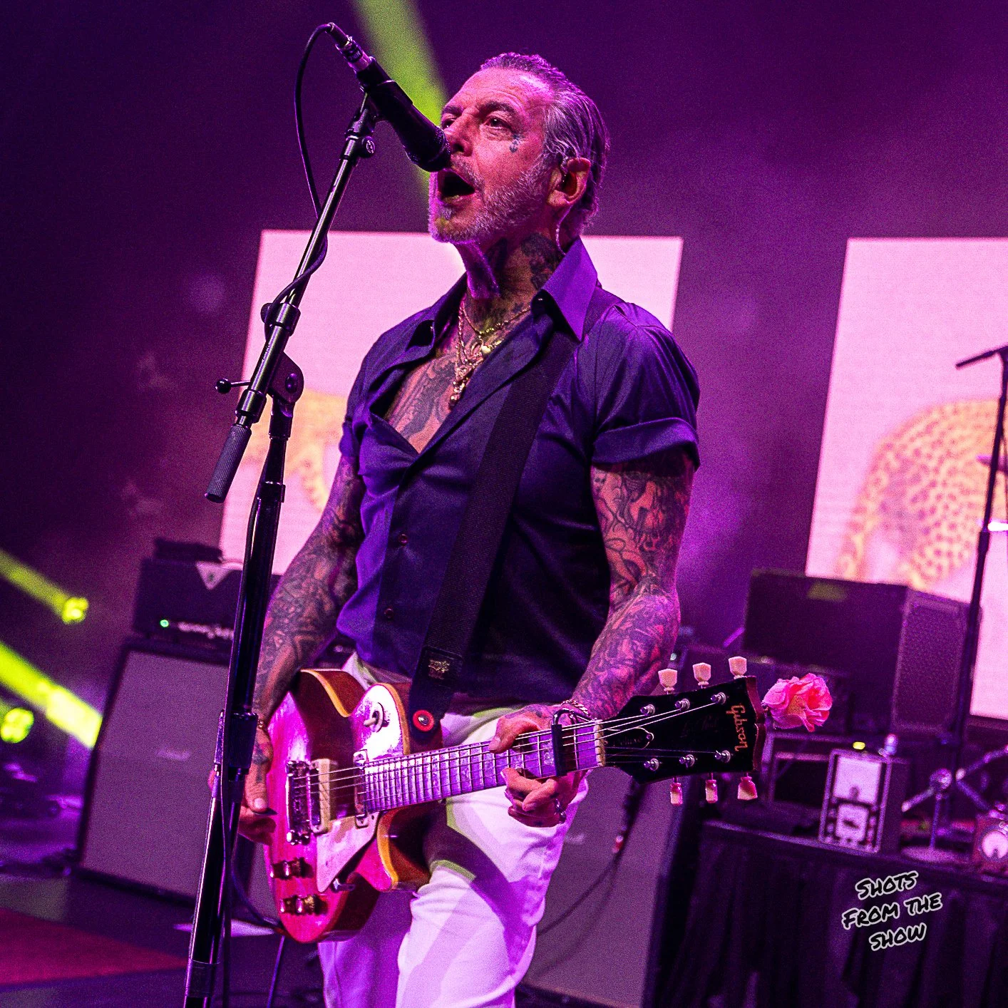 MikePfeiffer_SocialDistortion_NoWM-7243.jpg