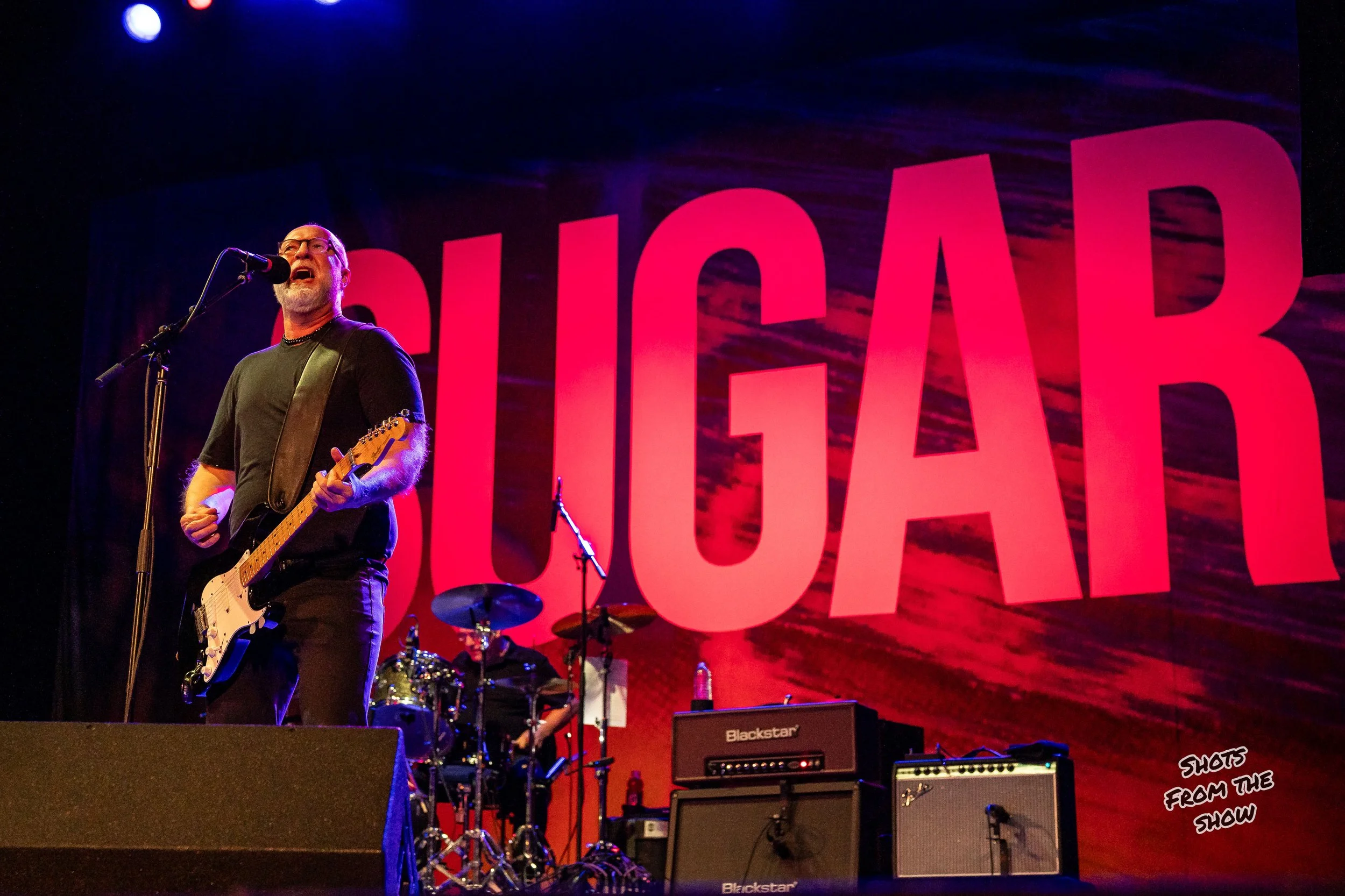 sugar-6.jpg
