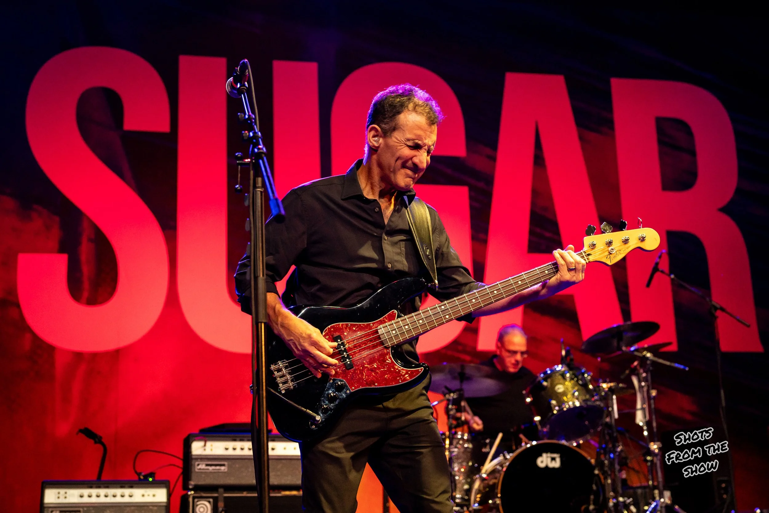 sugar-10.jpg